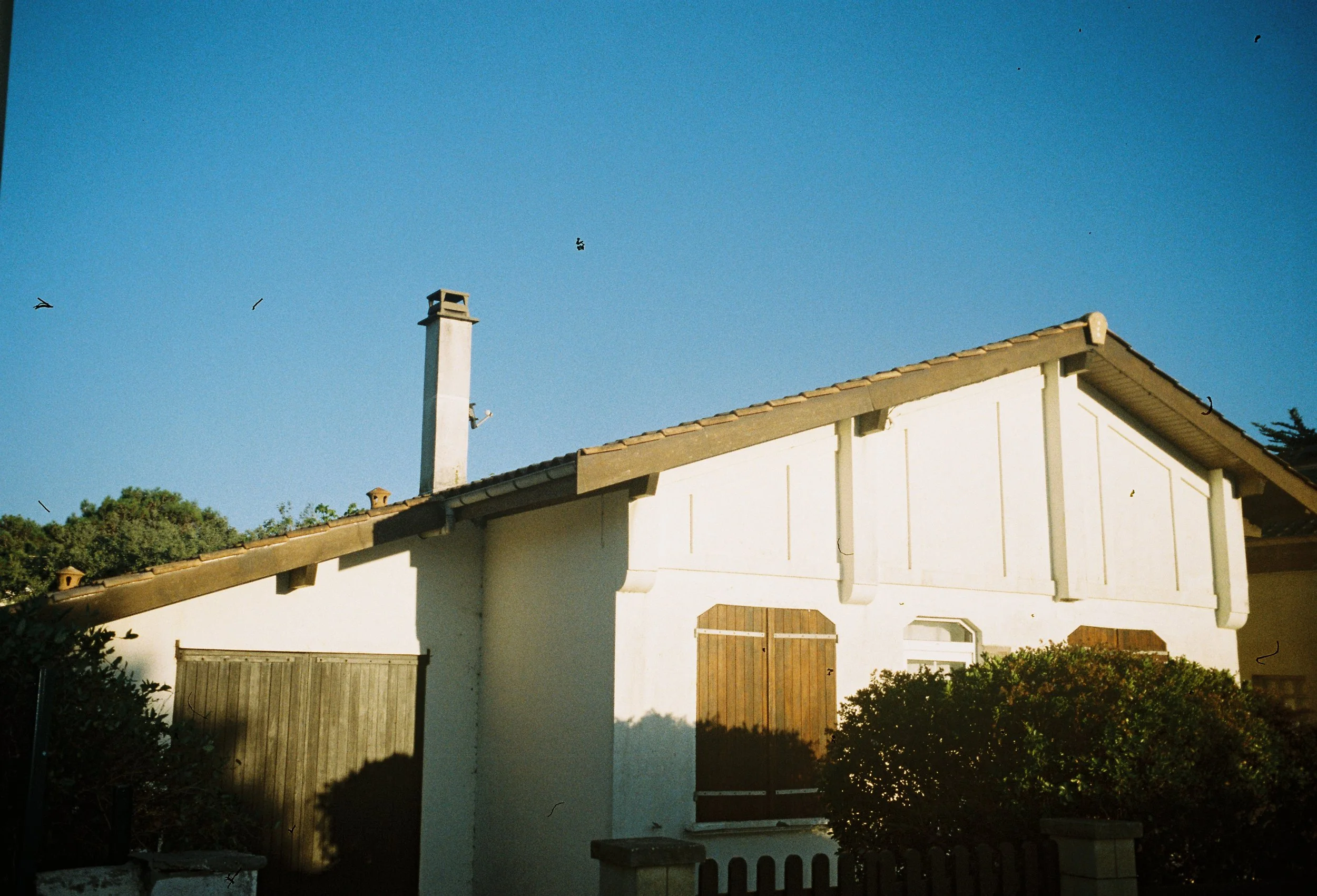 image00049.jpeg