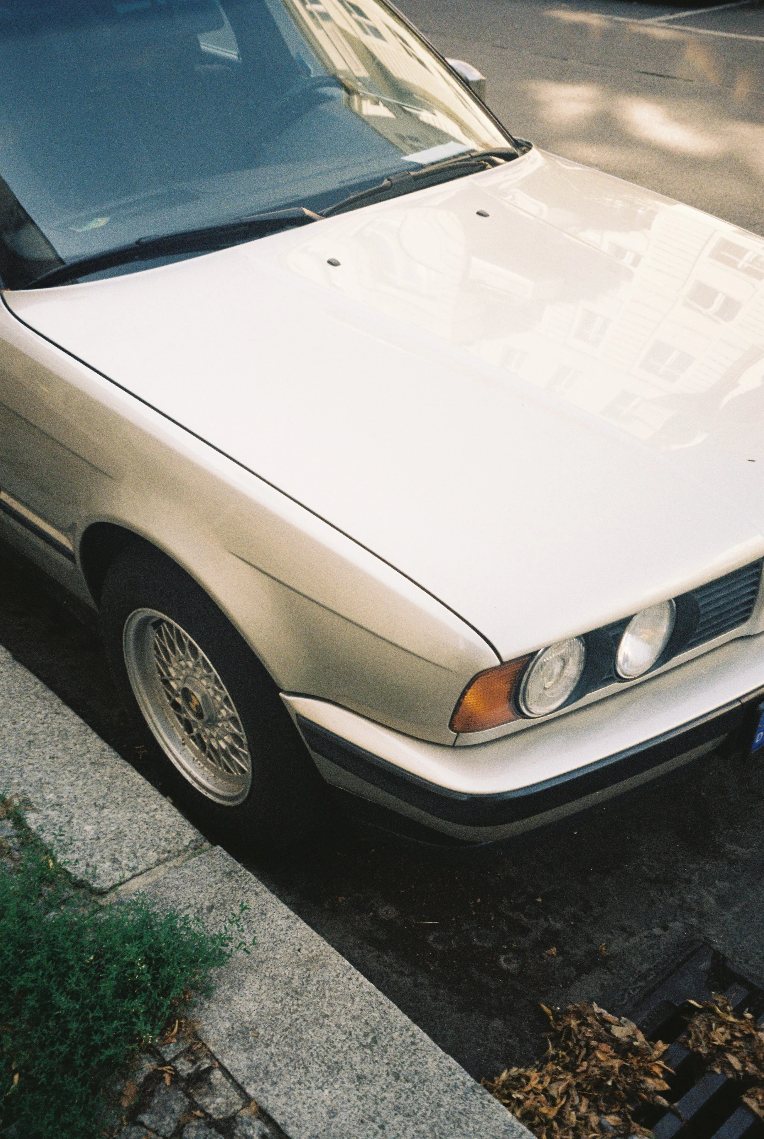 image00026.jpeg