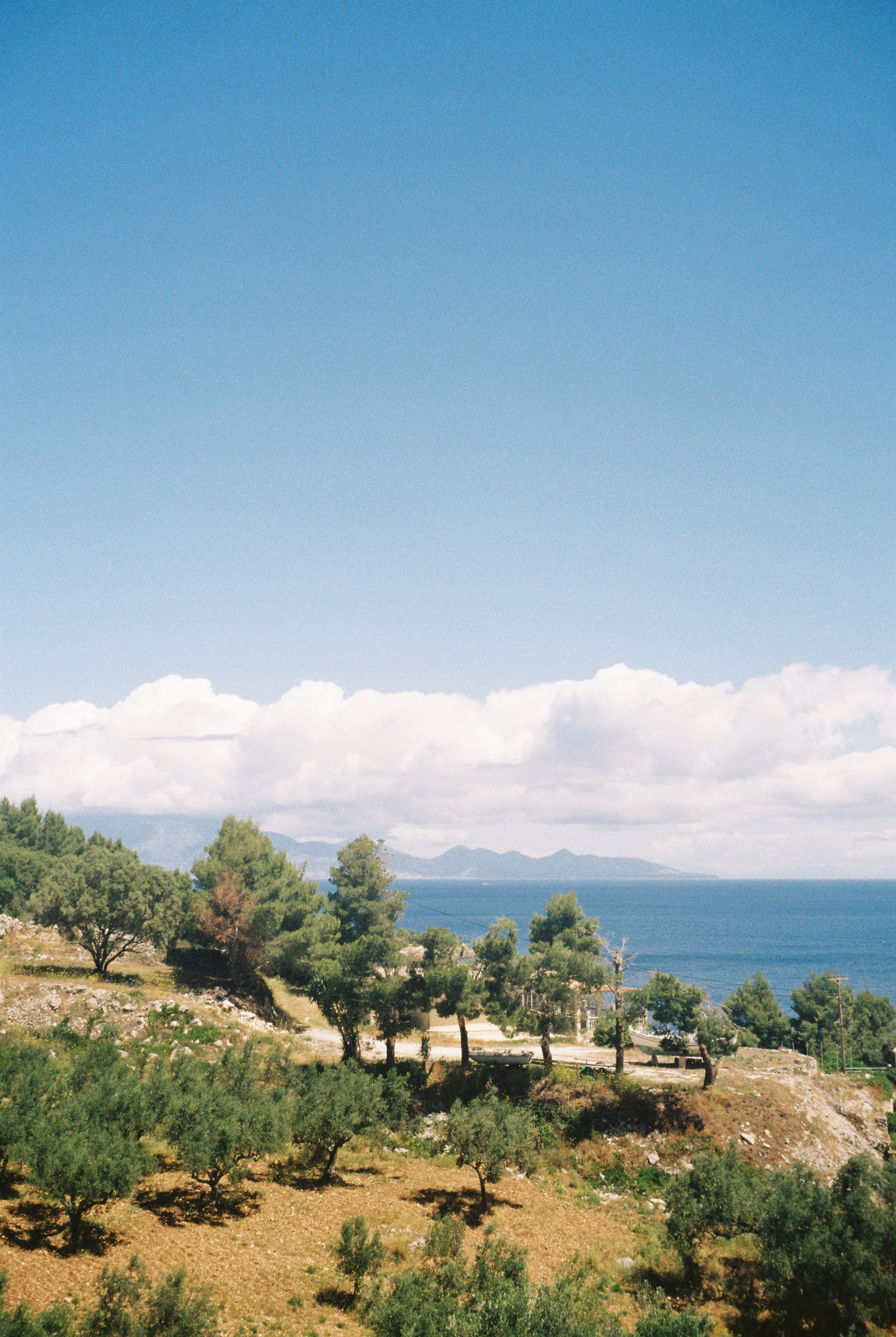 R1-09542-004A.jpg