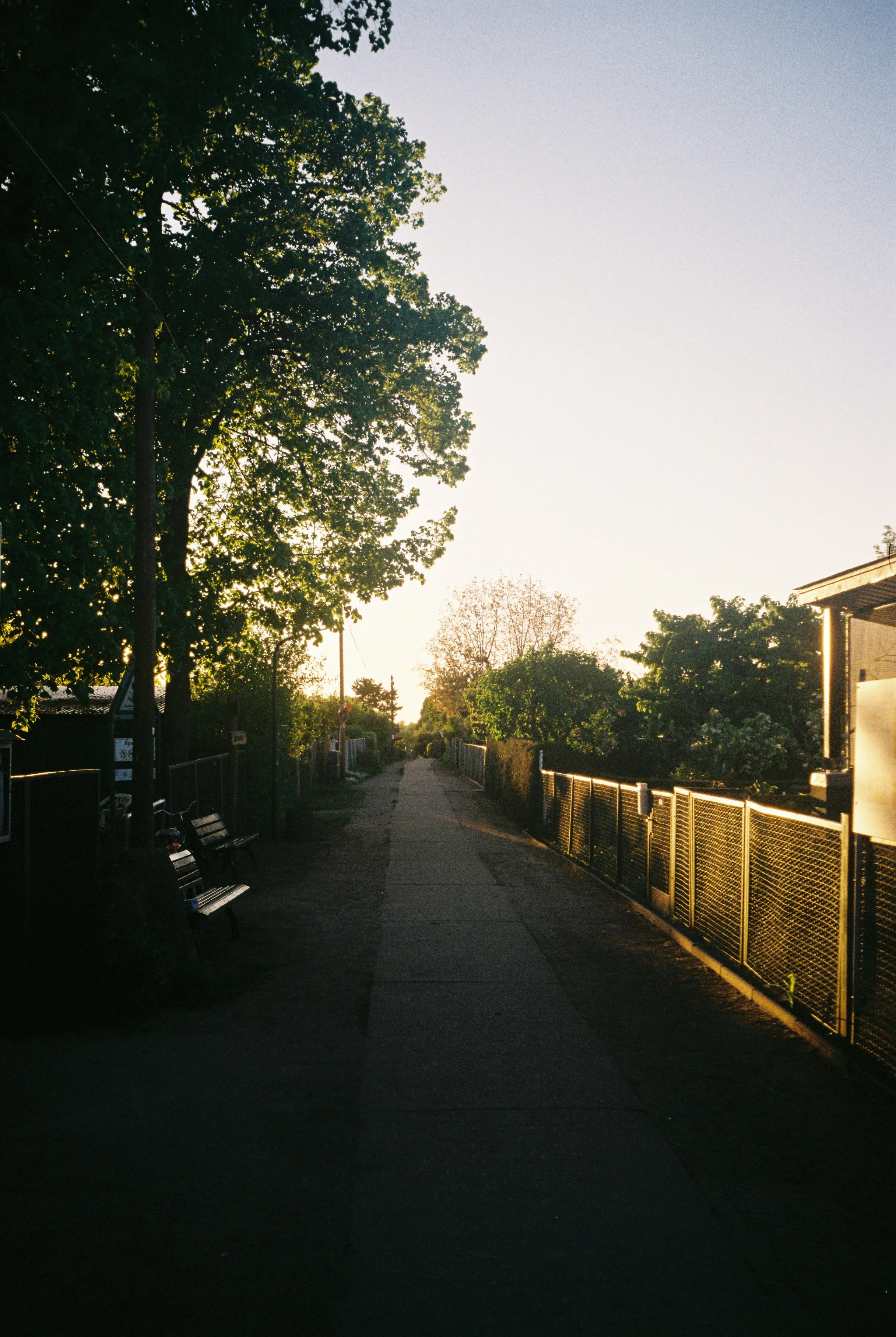 R1-08469-0031 1.jpg