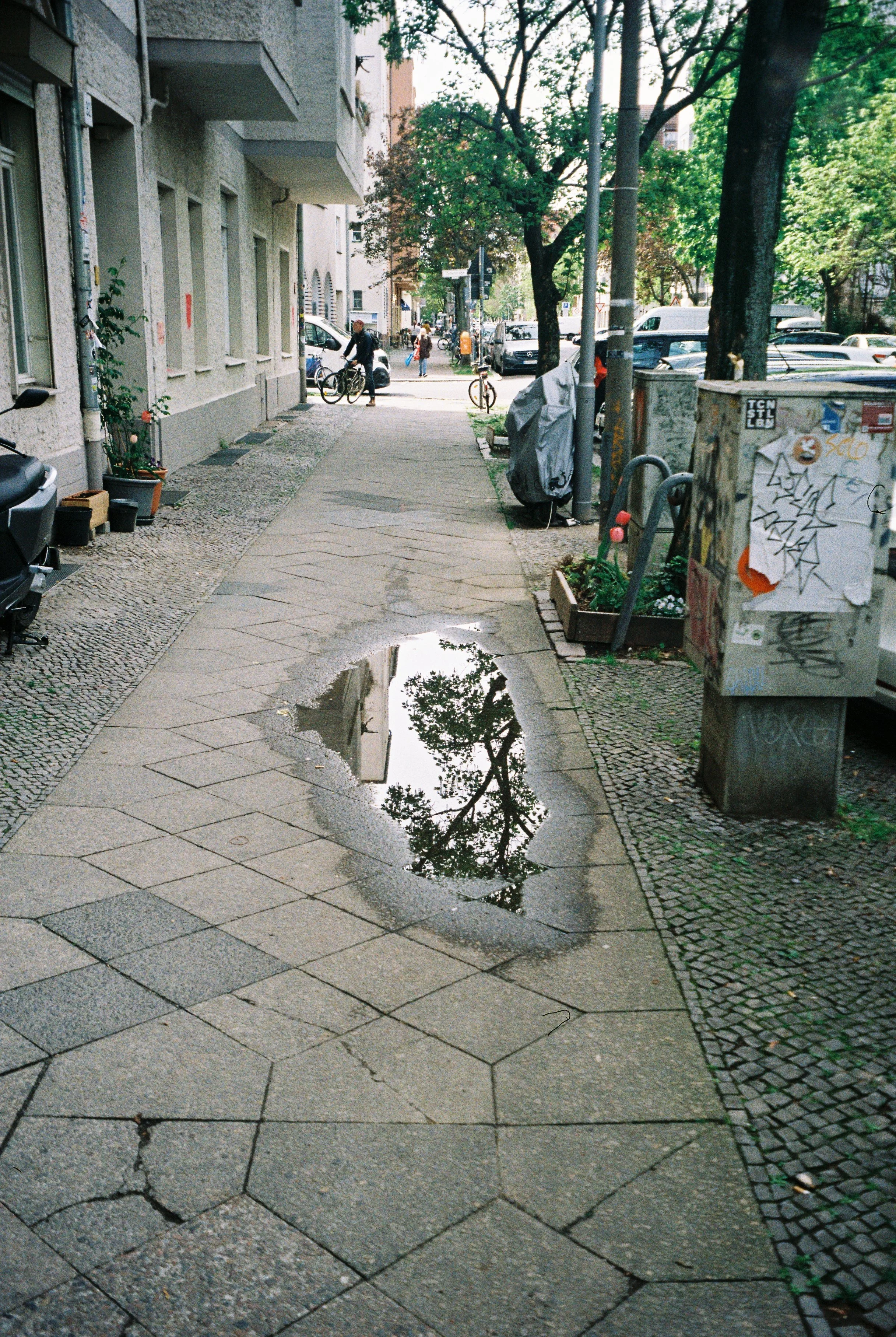 R1-05730-022A.jpg