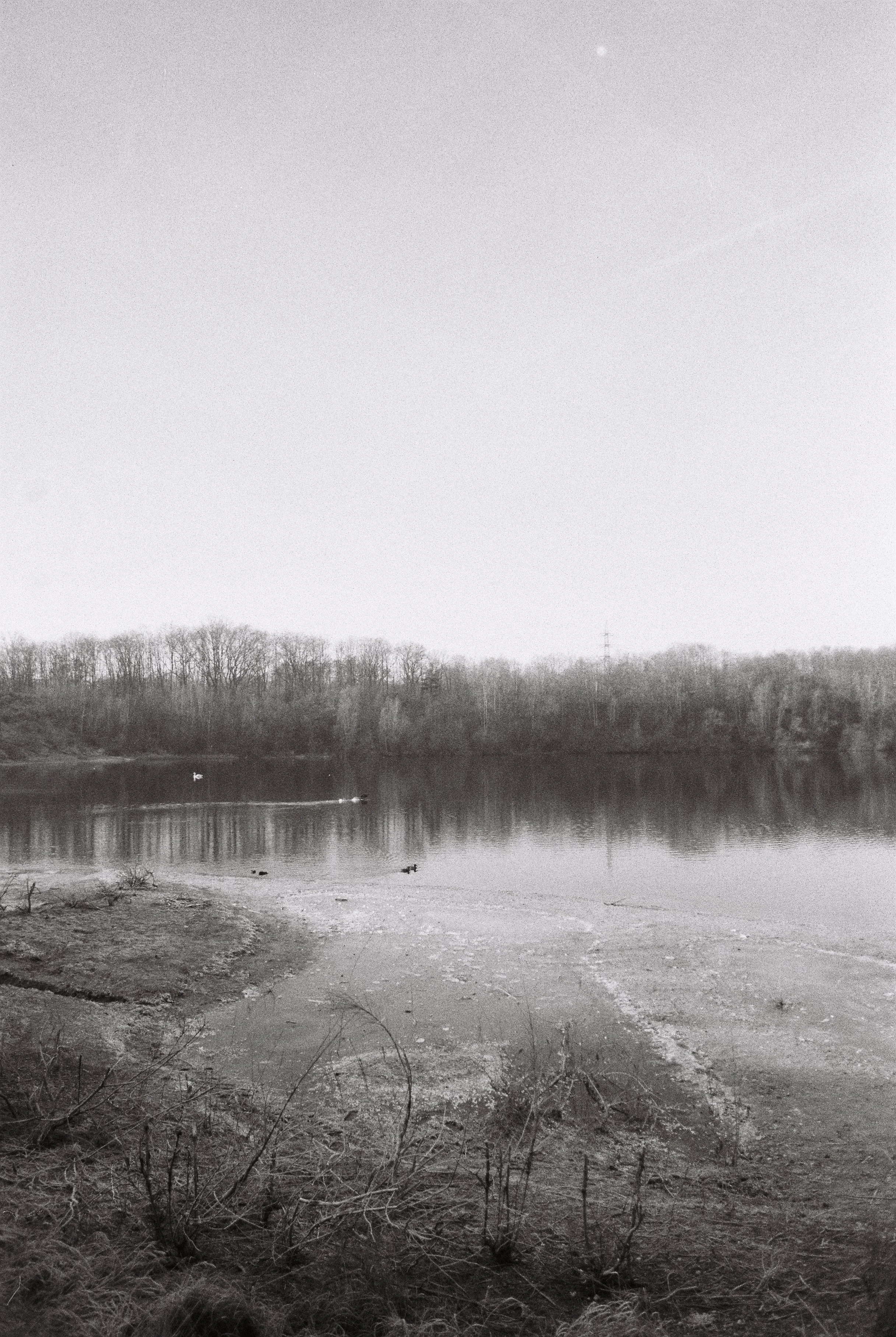 R1-05639-0036.jpg