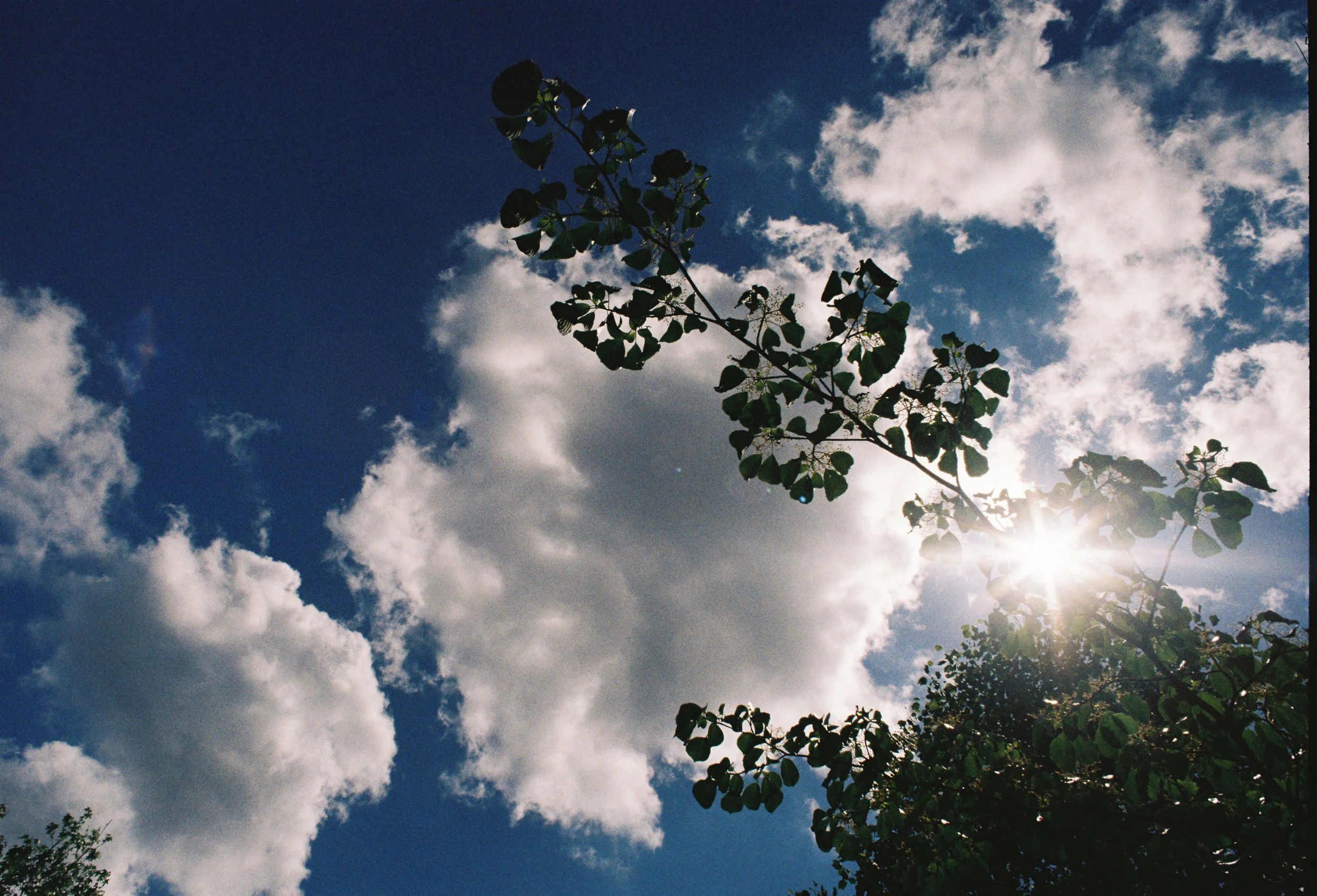 R1-05048-015A.jpg