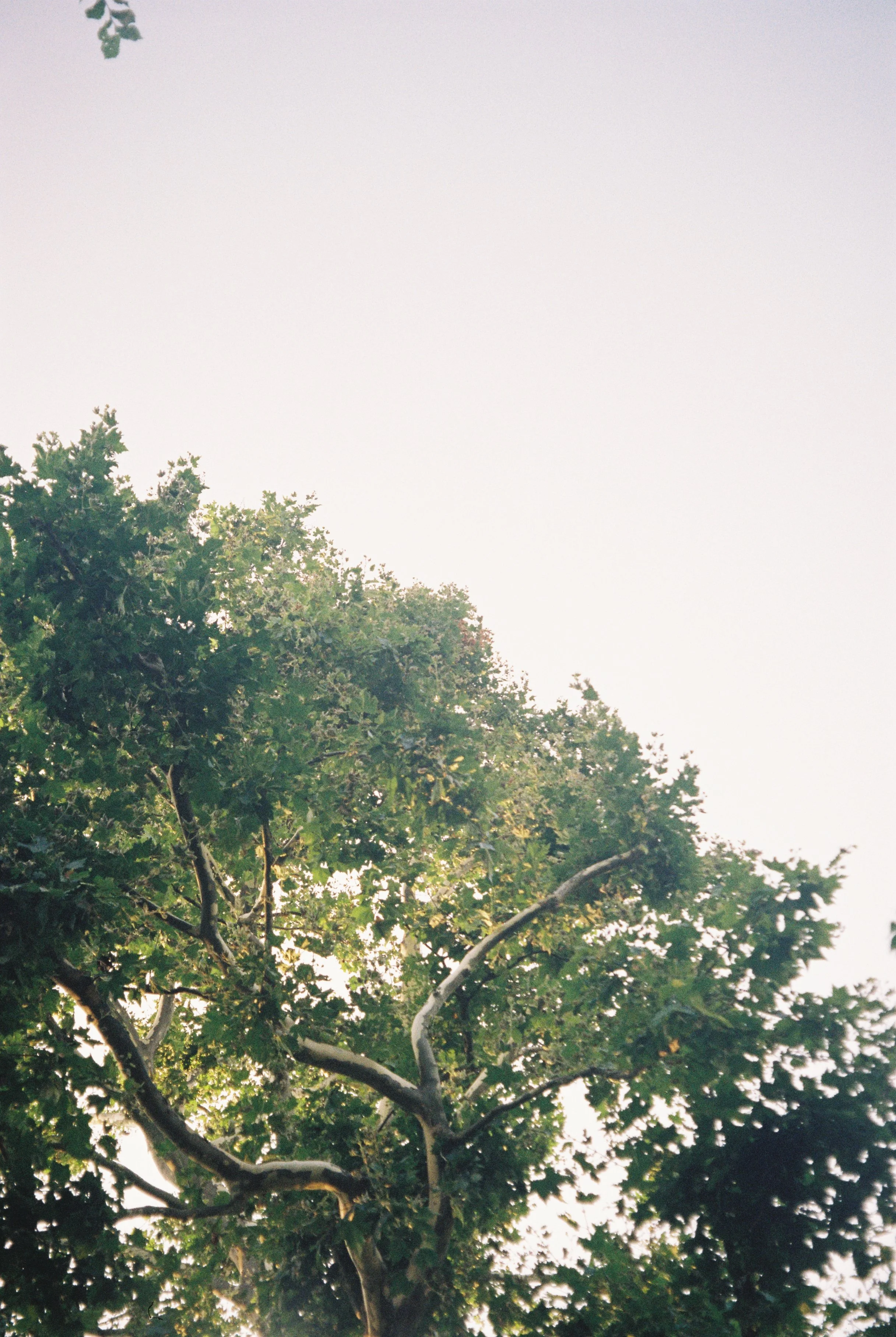 image00025.jpeg
