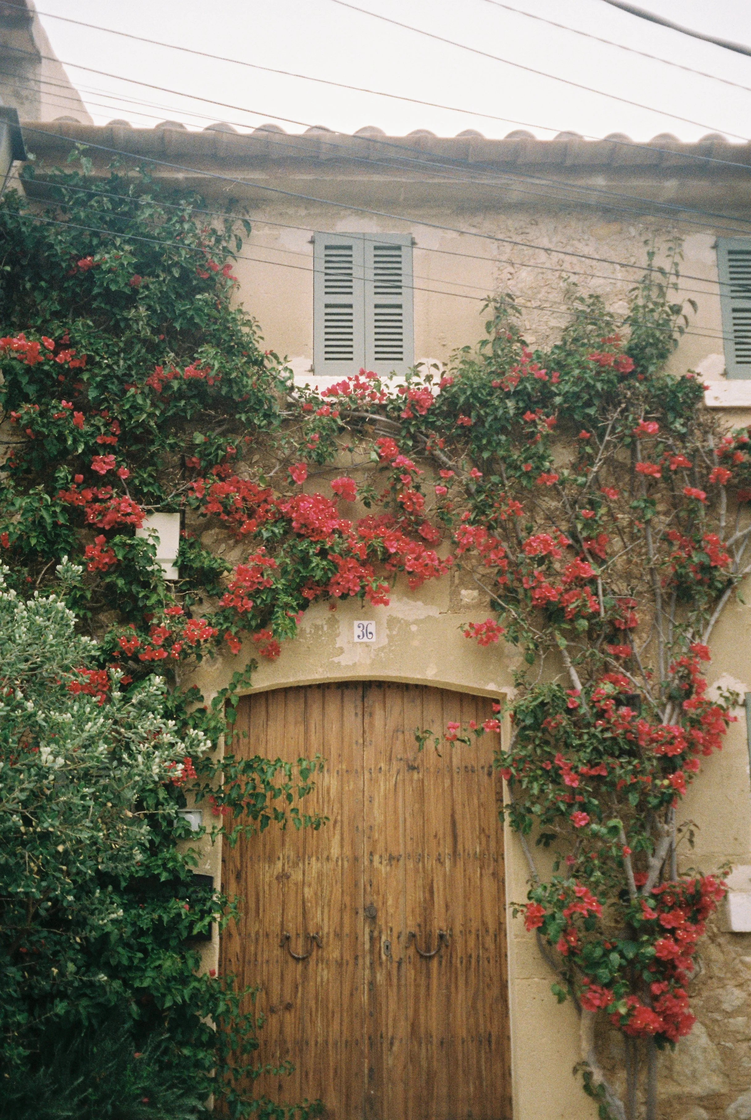 image00031.jpeg
