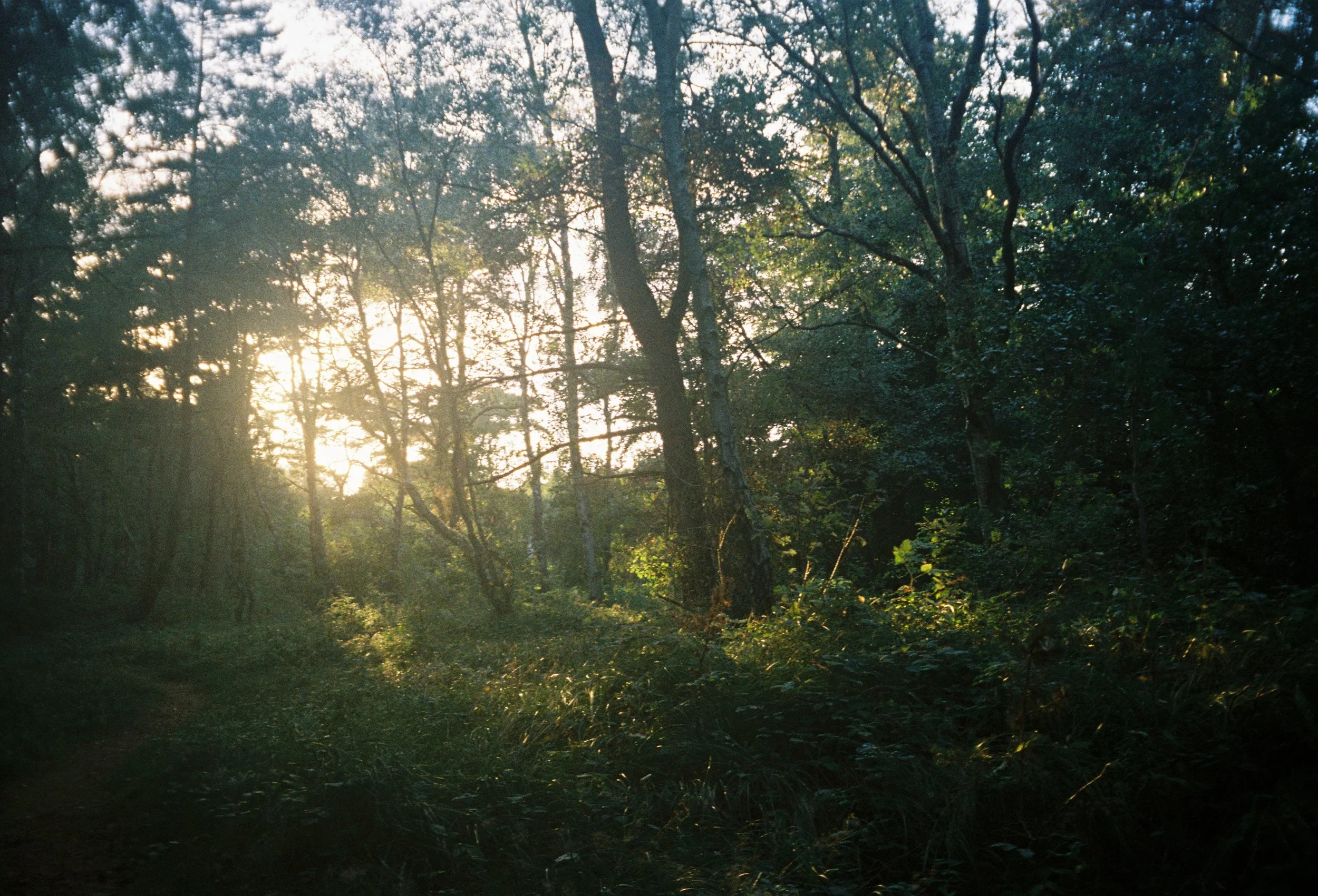R1-00896-016A 1.jpg