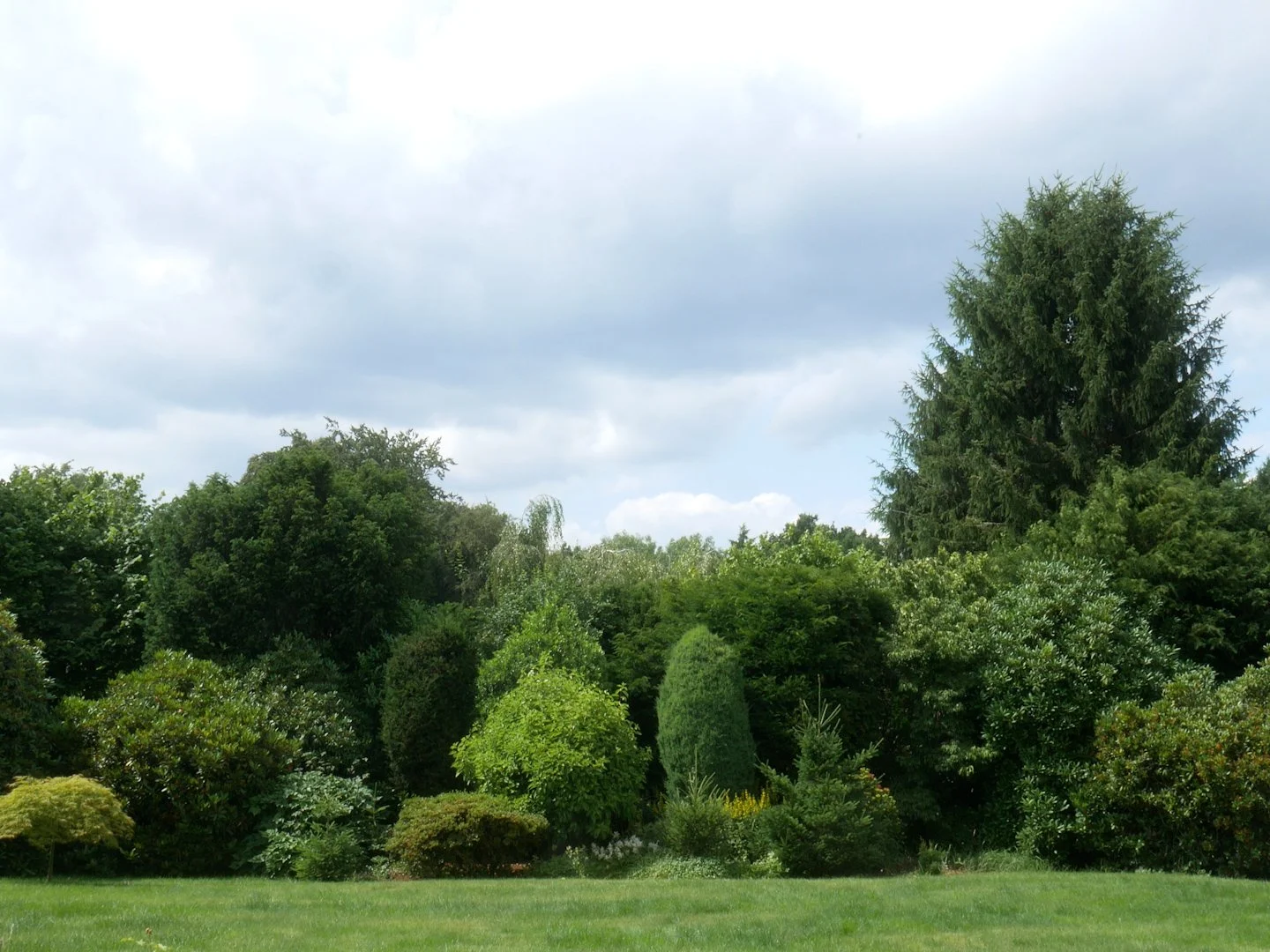 garten.jpg