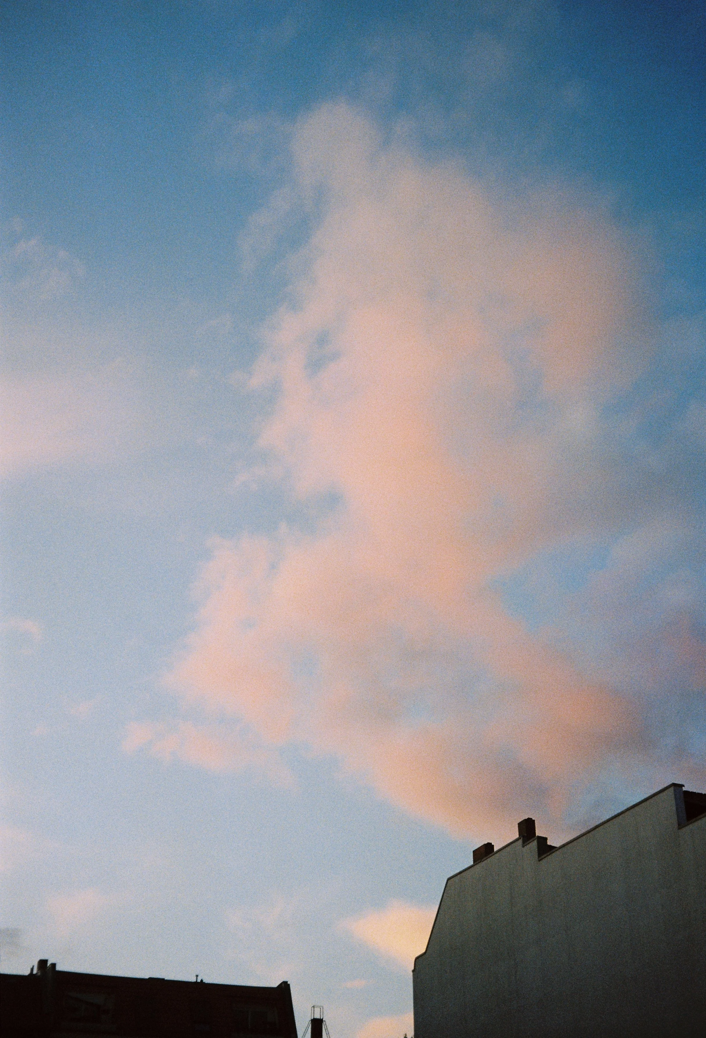image00038 1.jpeg