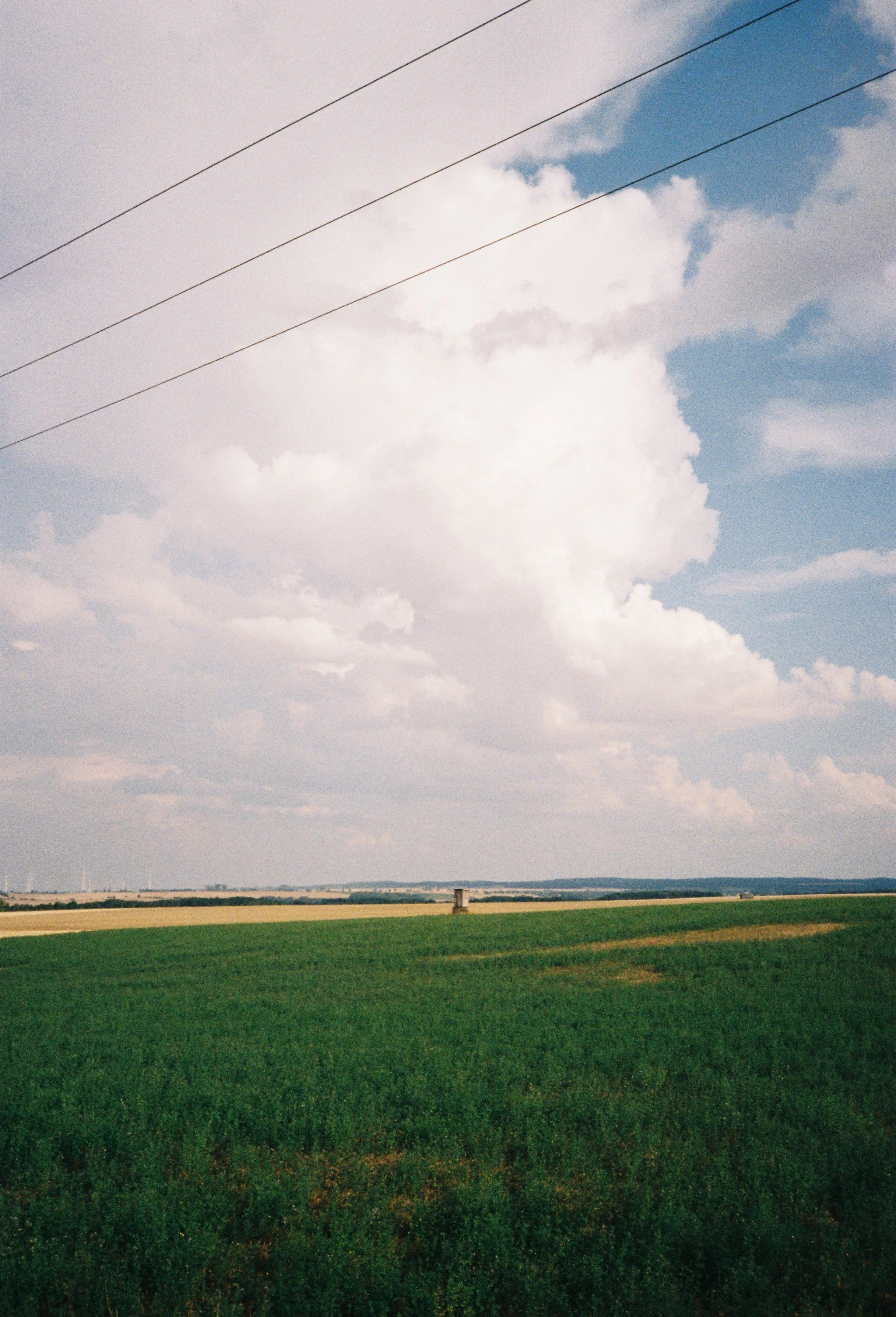 image00005.jpeg
