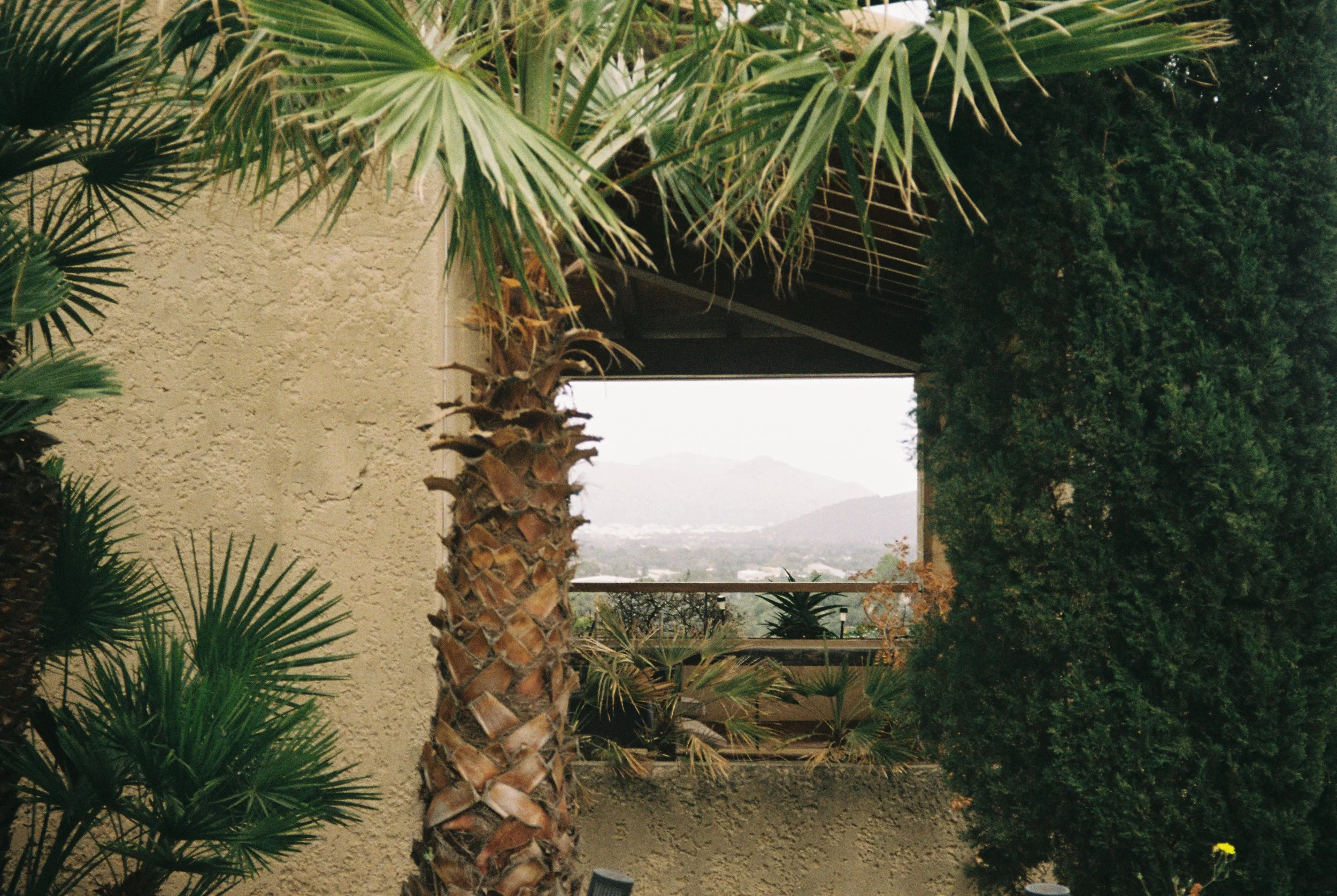 image00026.jpeg