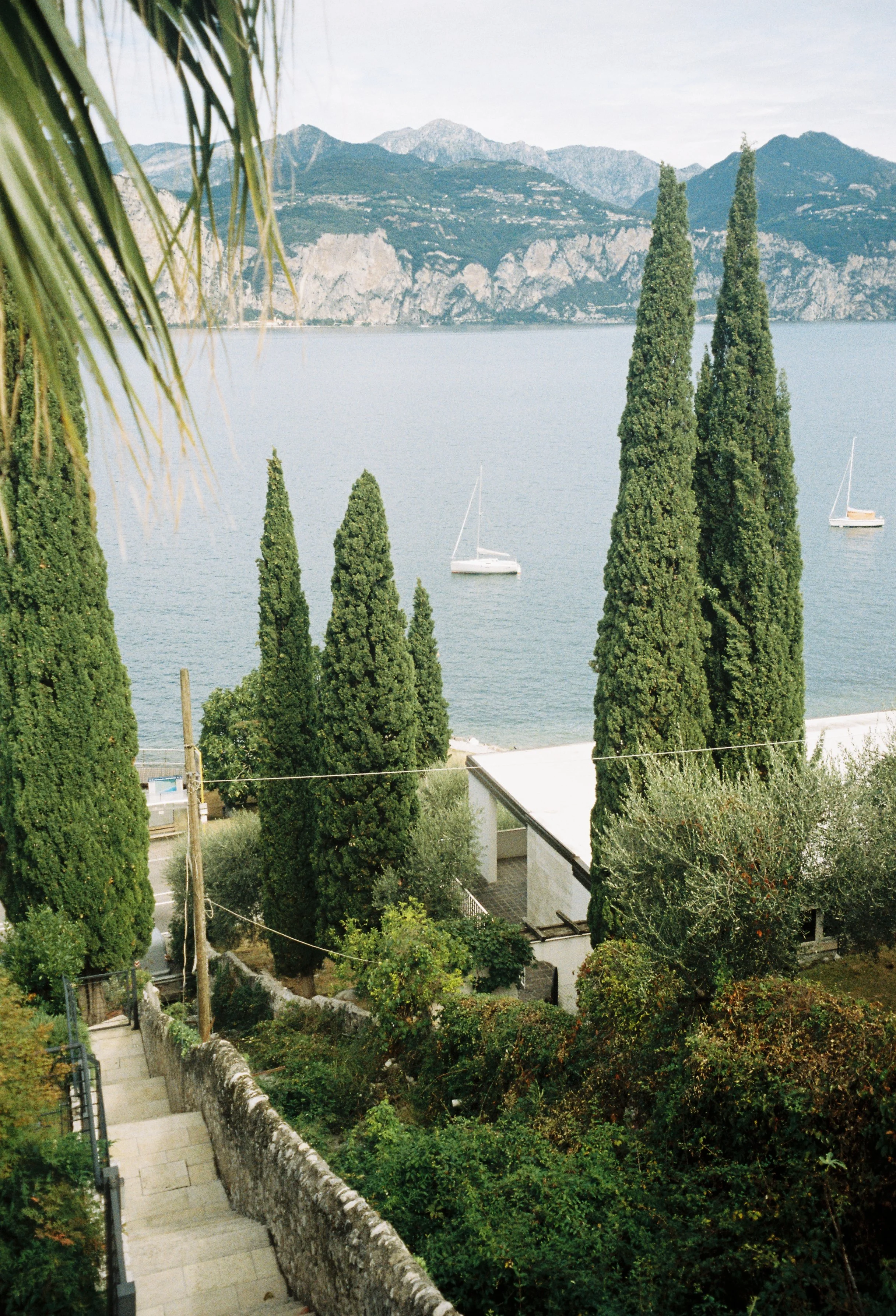 image00019 1.jpeg