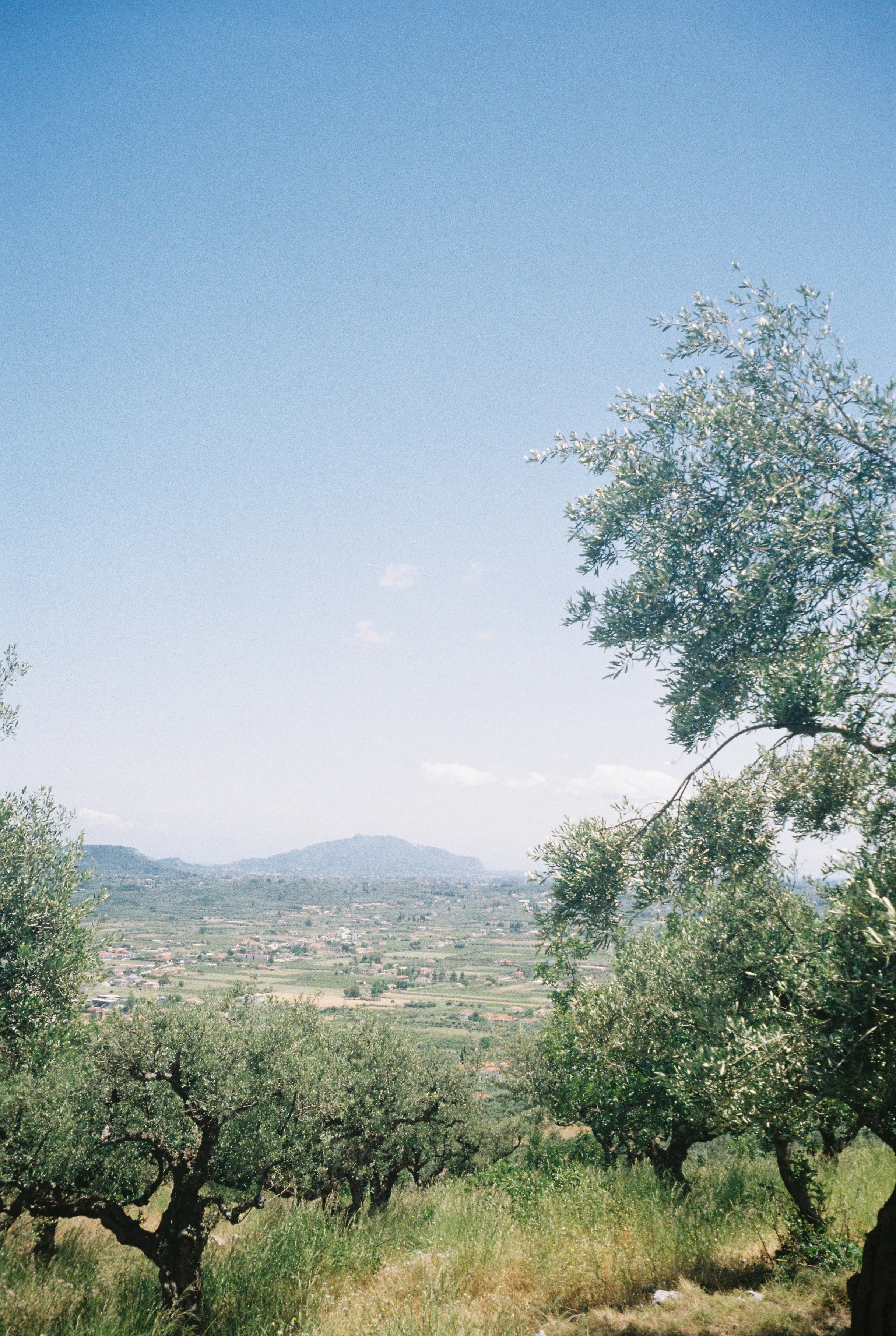 R1-09542-008A.jpg