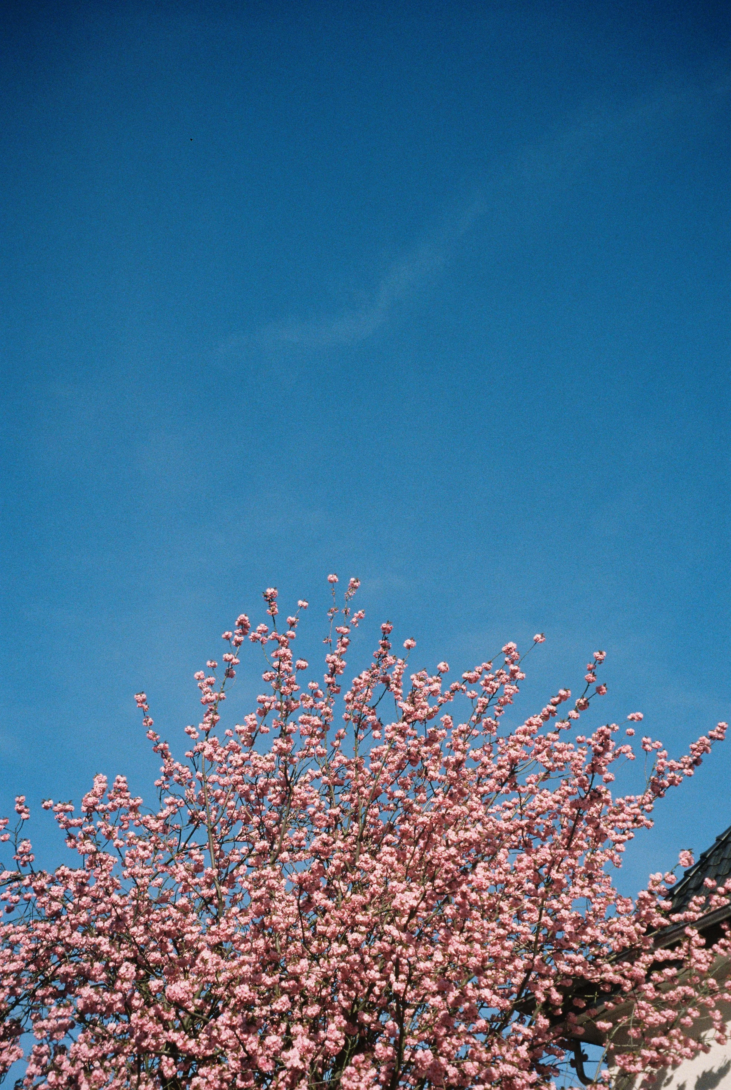 image00015.jpeg