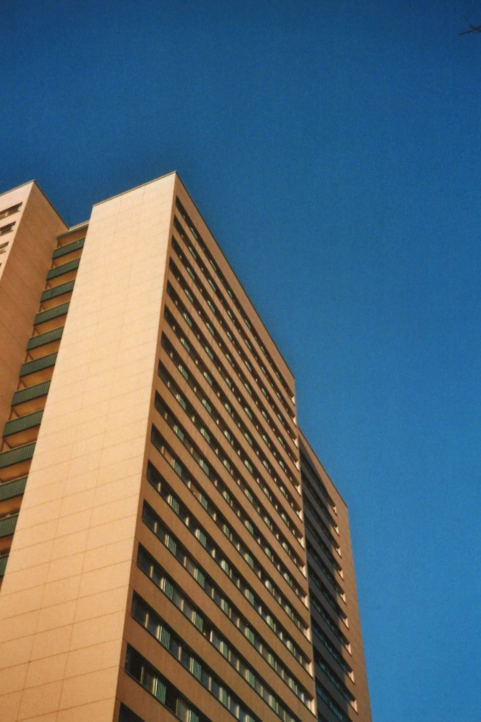 image00011.jpeg