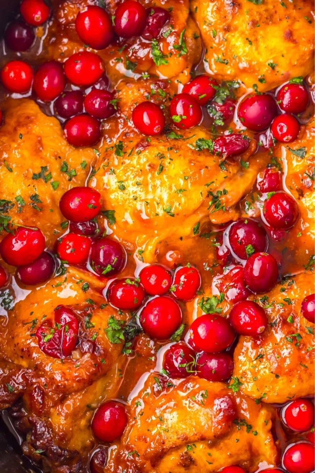 apricot cranberry chicken.jpg