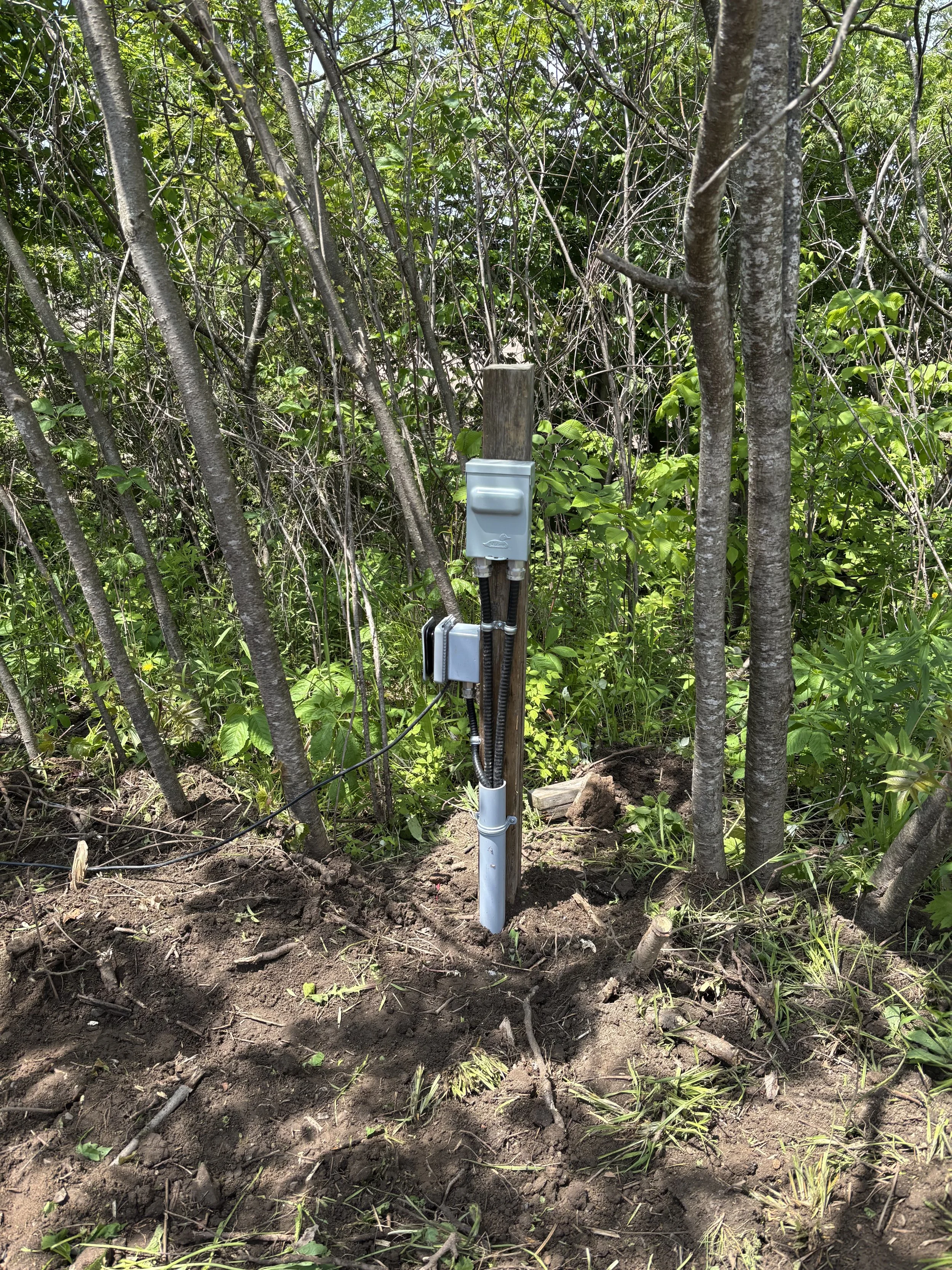 A weather station mounted on a wooden post in a wooded area with trees and green foliage, soil at the base, and some electrical wiring.