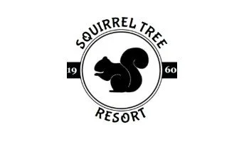 Solo Sethy at the Squirrel Tree