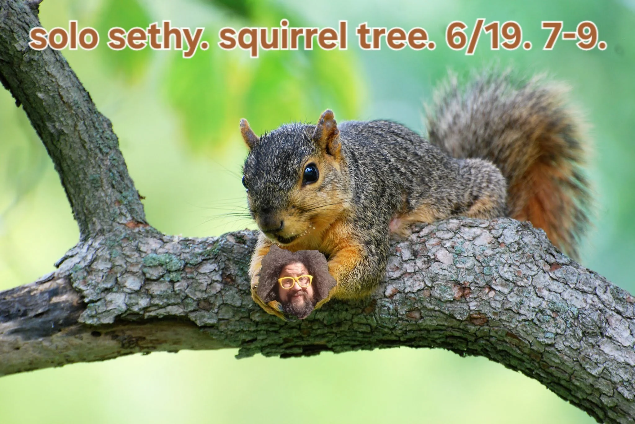 A squirrel perched on a tree branch with a man's face edited into the squirrel's body. The text overlay reads 'solo sethy. squirrel tree. 6/19. 7-9.'