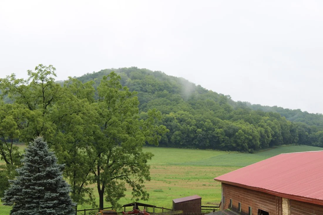 img-1366_orig.jpg