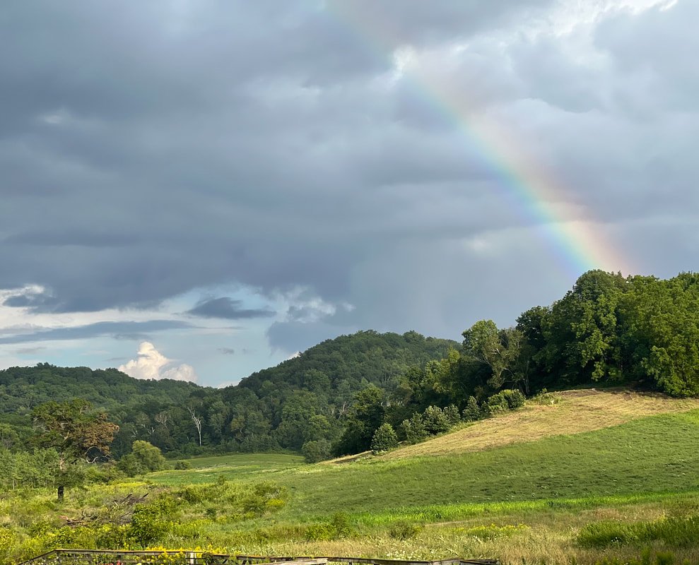 rainbow-cropped-copy_orig.jpeg