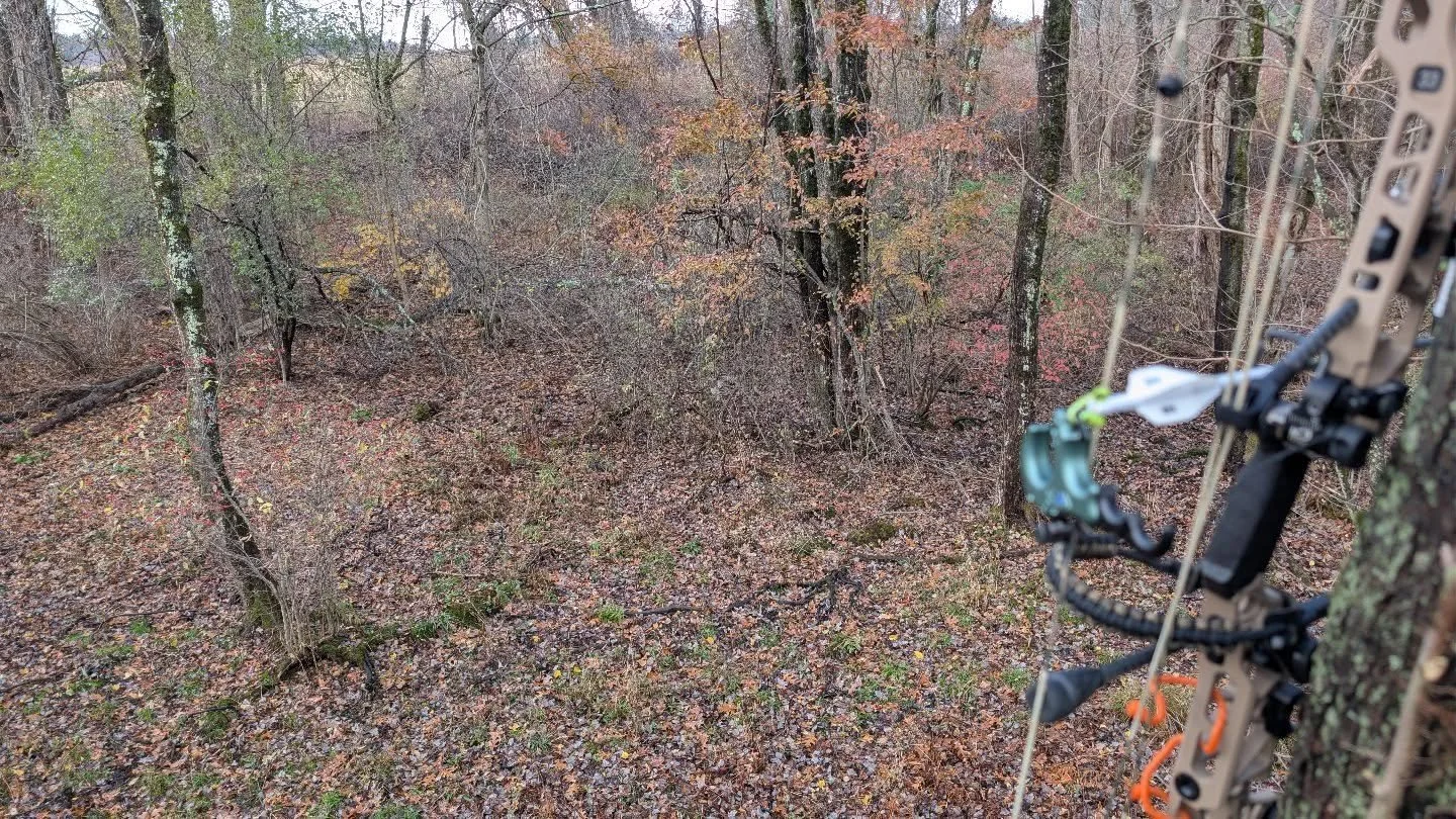 Missing hunting season already.

The quiet woods.
That first bit of movement in the brush.
The excitement of not knowing what&rsquo;s about to step out.
The peace that comes from sitting still long enough to actually hear the world around you.

There