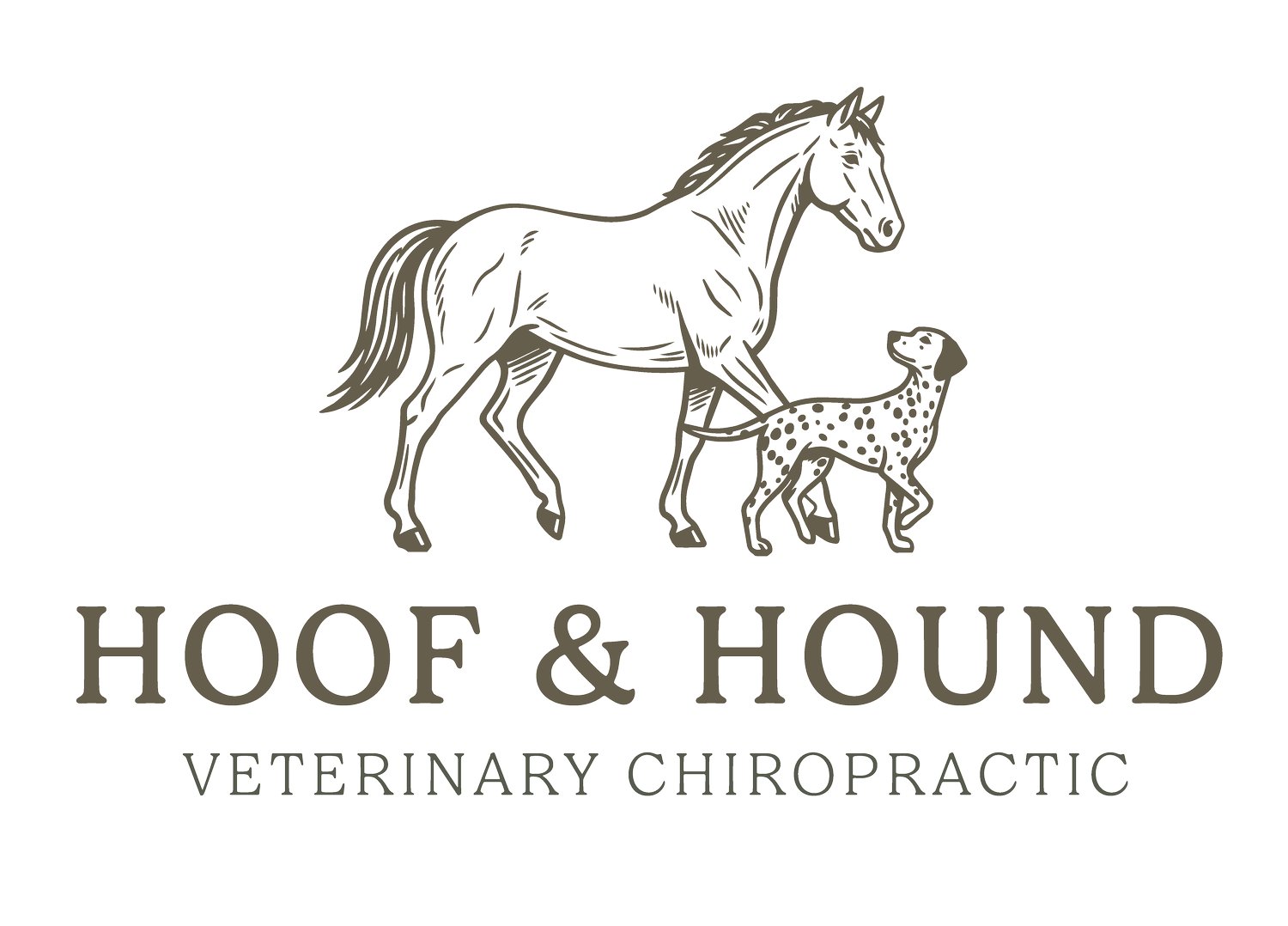 Hoof and Hound Veterinary Solutions