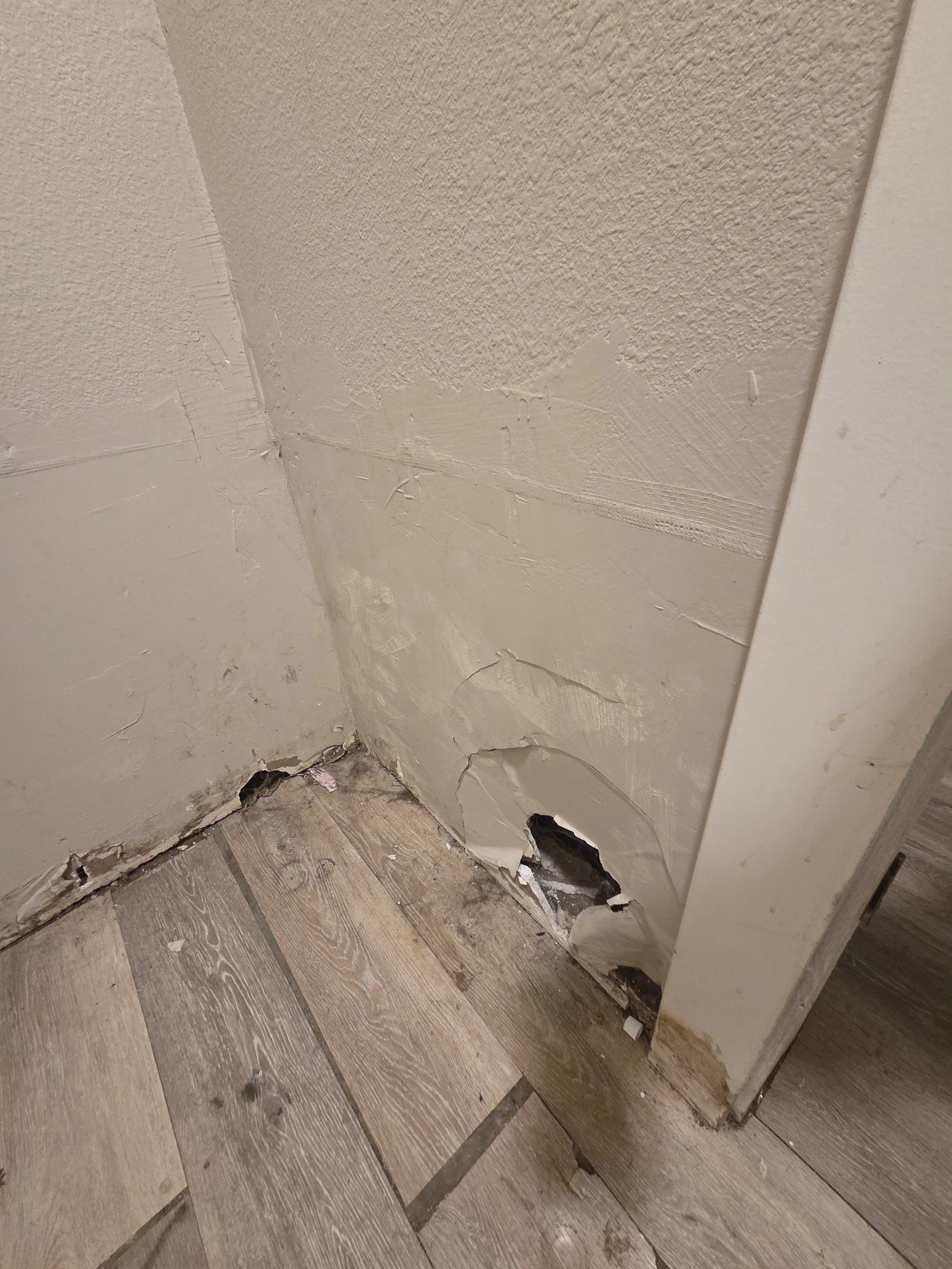 Repairs (Drywall, Siding, Trim, etc.)