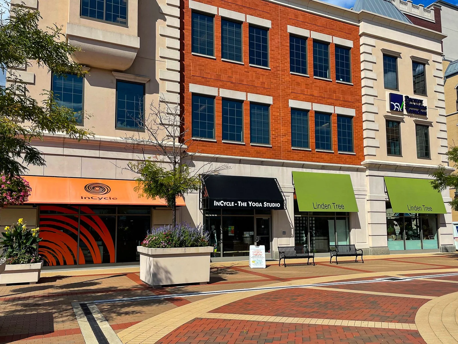 Street view with storefronts for InCycle yoga studio and Linden Tree shops, brick and cream-colored buildings with large windows and awnings, benches and planters in the foreground, and trees along the sidewalk.