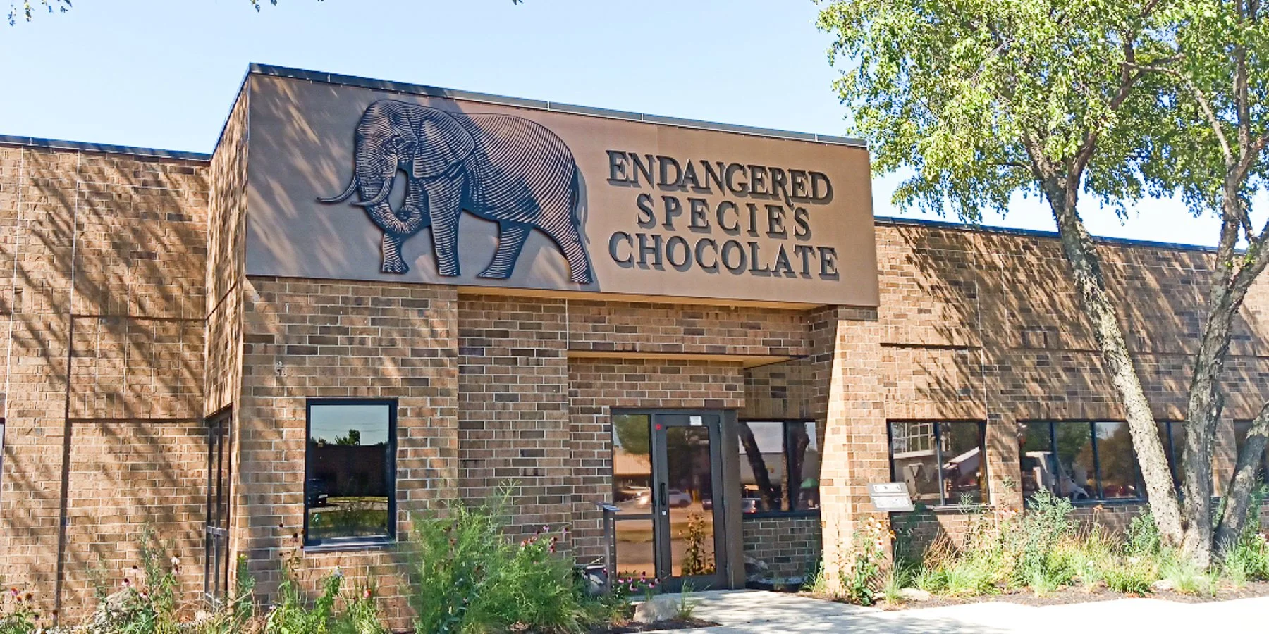 Brick building with a sign that reads 'Endangered Species Chocolate' and an image of an elephant on it, surrounded by trees and plants.