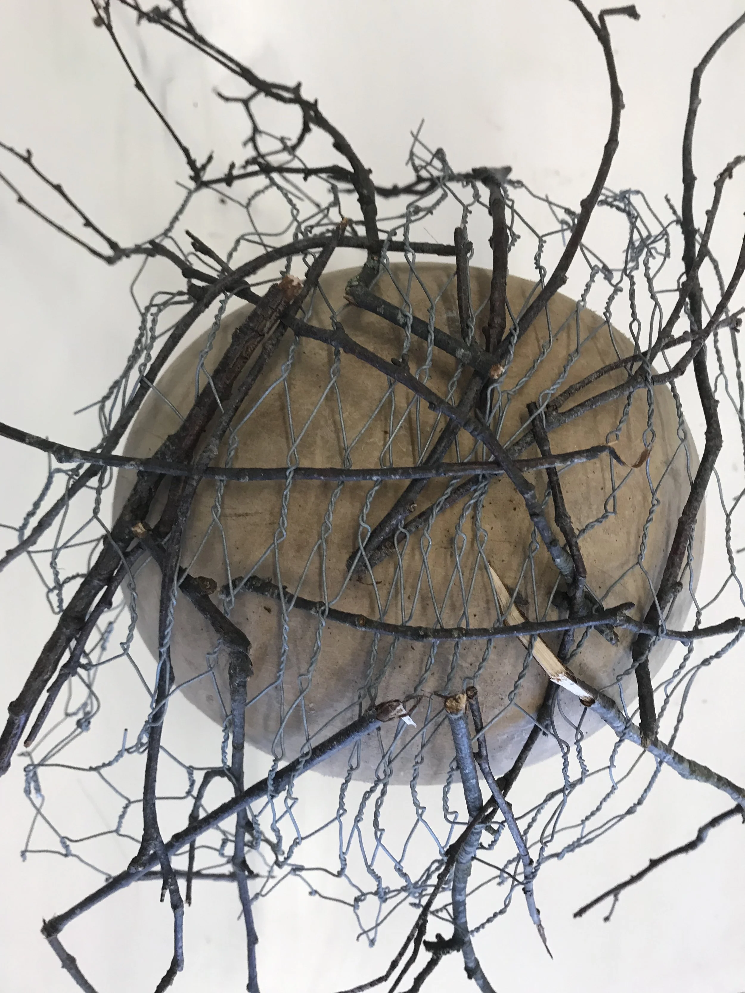 Attached twigs to the chicken wire. 
