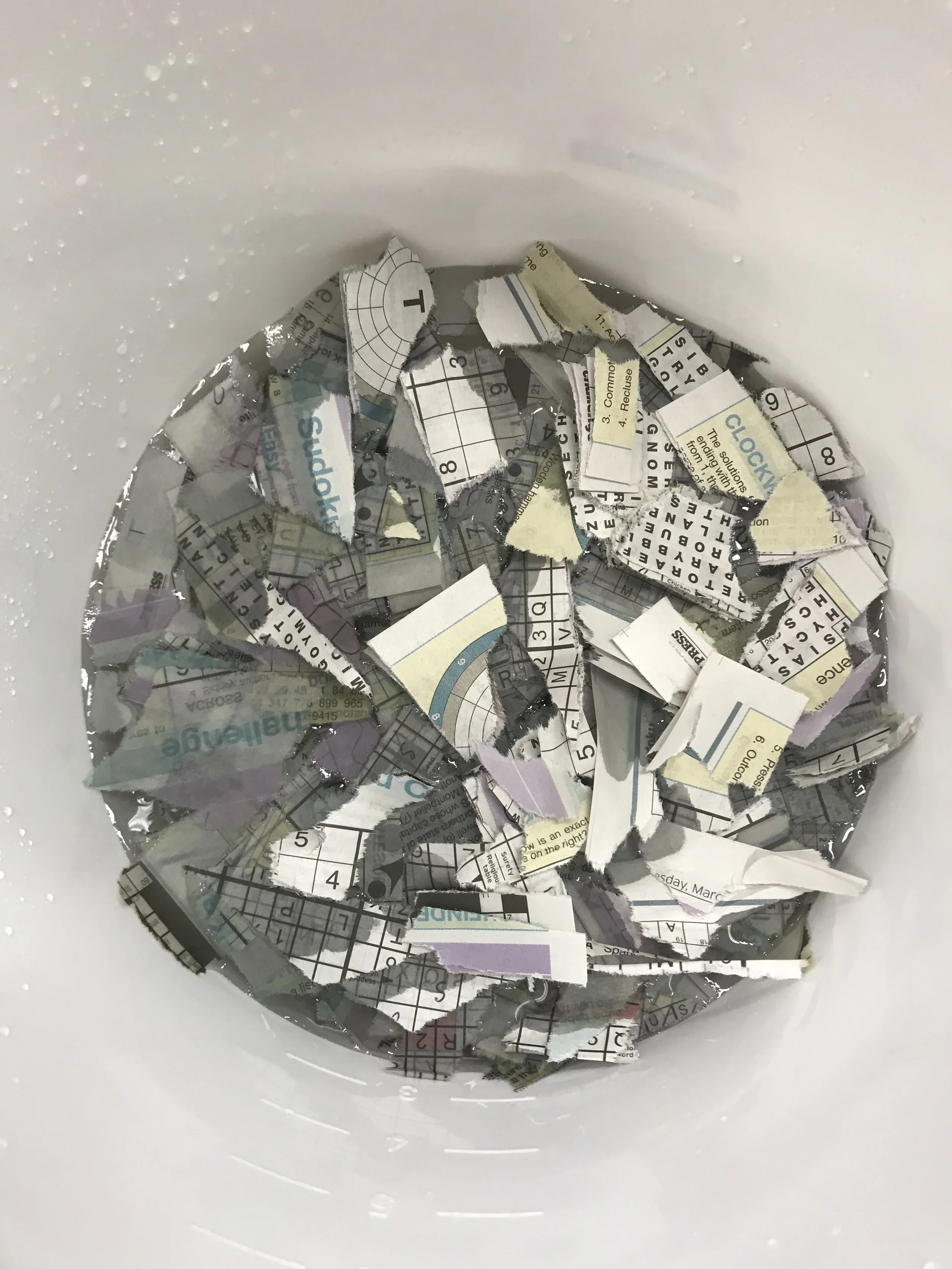 Soaked ripped up newspaper for paper pulp.
