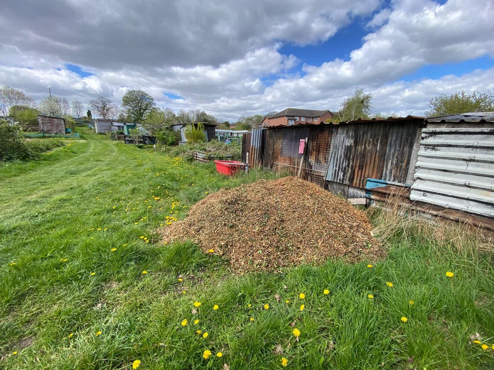Lower Site Wood Chip Heap