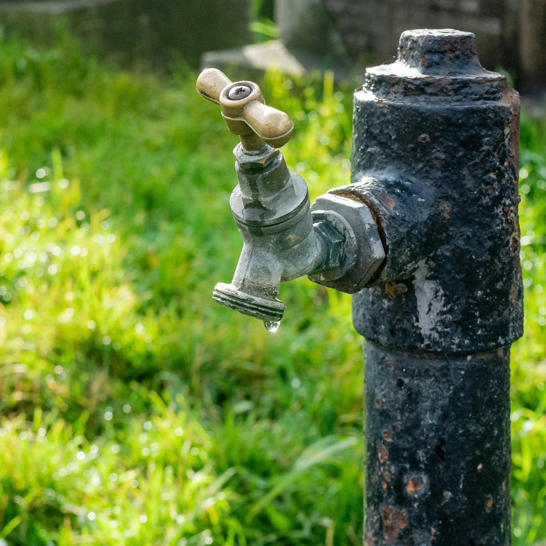 Cash for Water Conservation – Our Chance