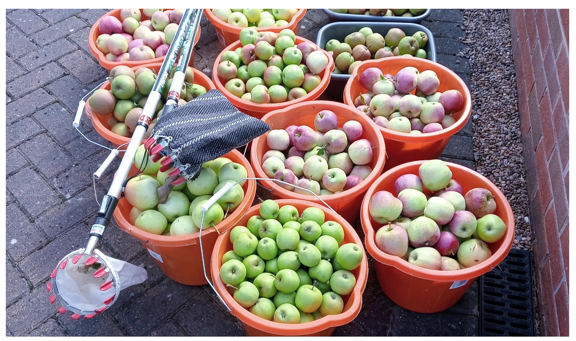 Abundance – Sharing Chesterfield’s Harvest