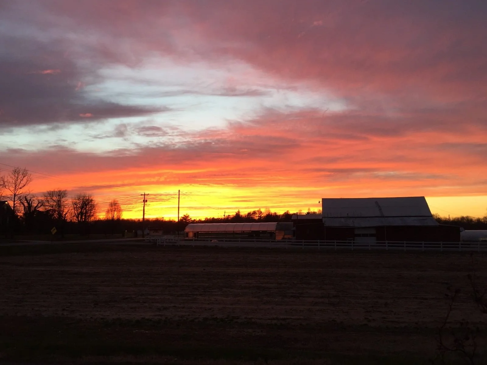Landscape at Sunset.jpeg