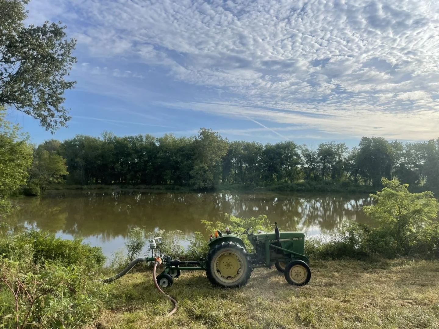 Pond.jpg