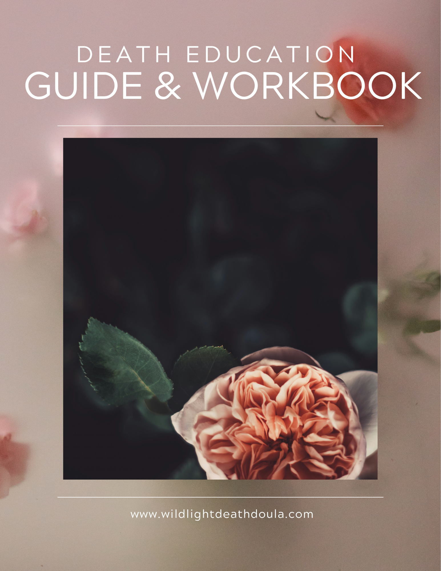 Death Education Guide & Workbook