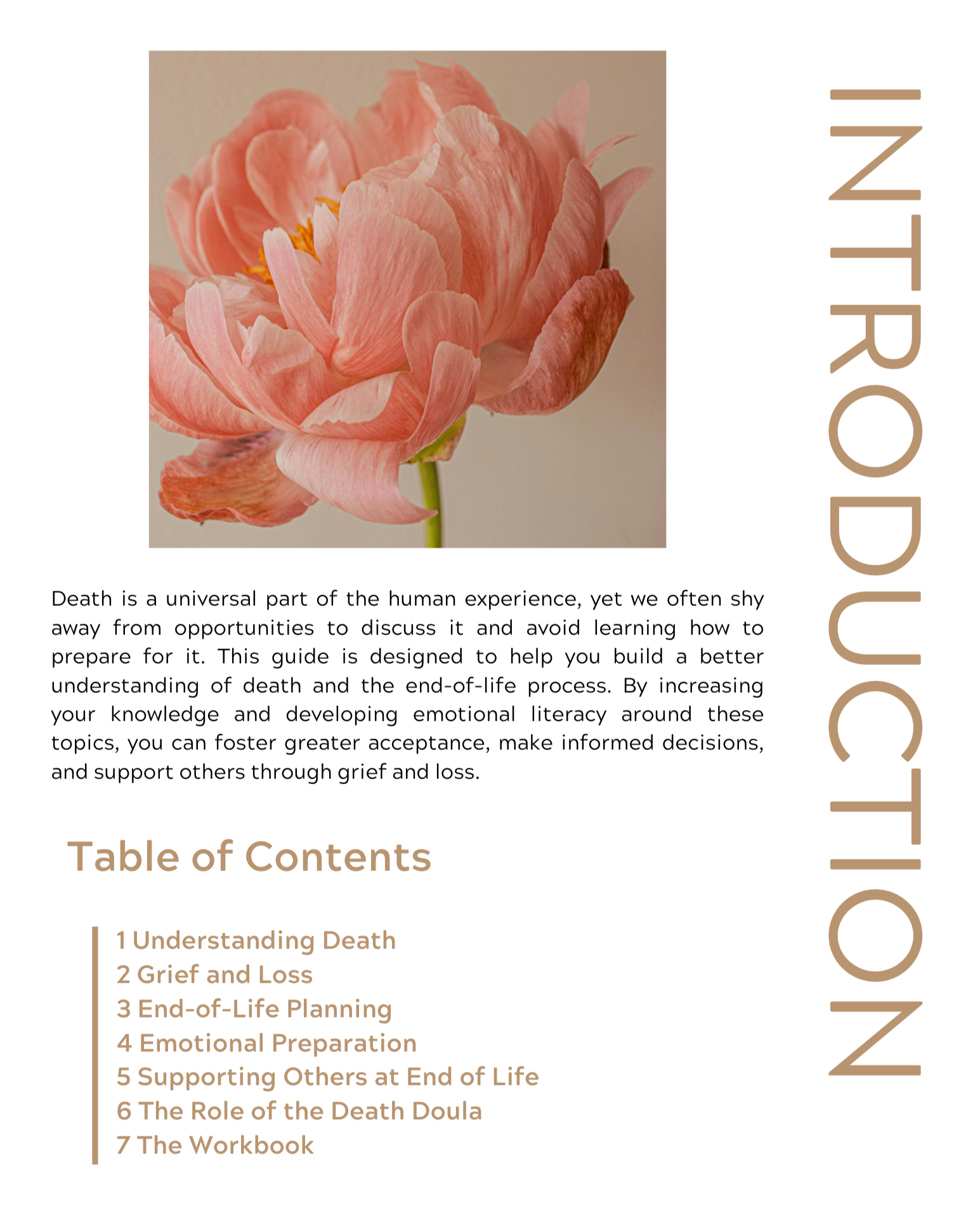 Death+Guide+Table+of+Contents.png