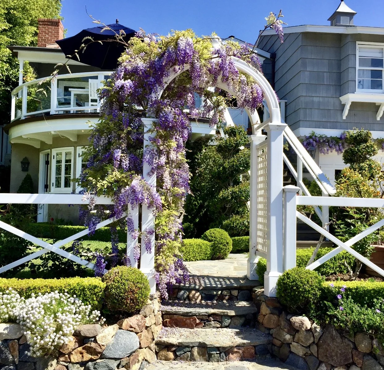 A white garden archway covered in purple wisteria, leading to a landscaped front yard of a gray house with a balcony and stairs, under a clear blue sky.