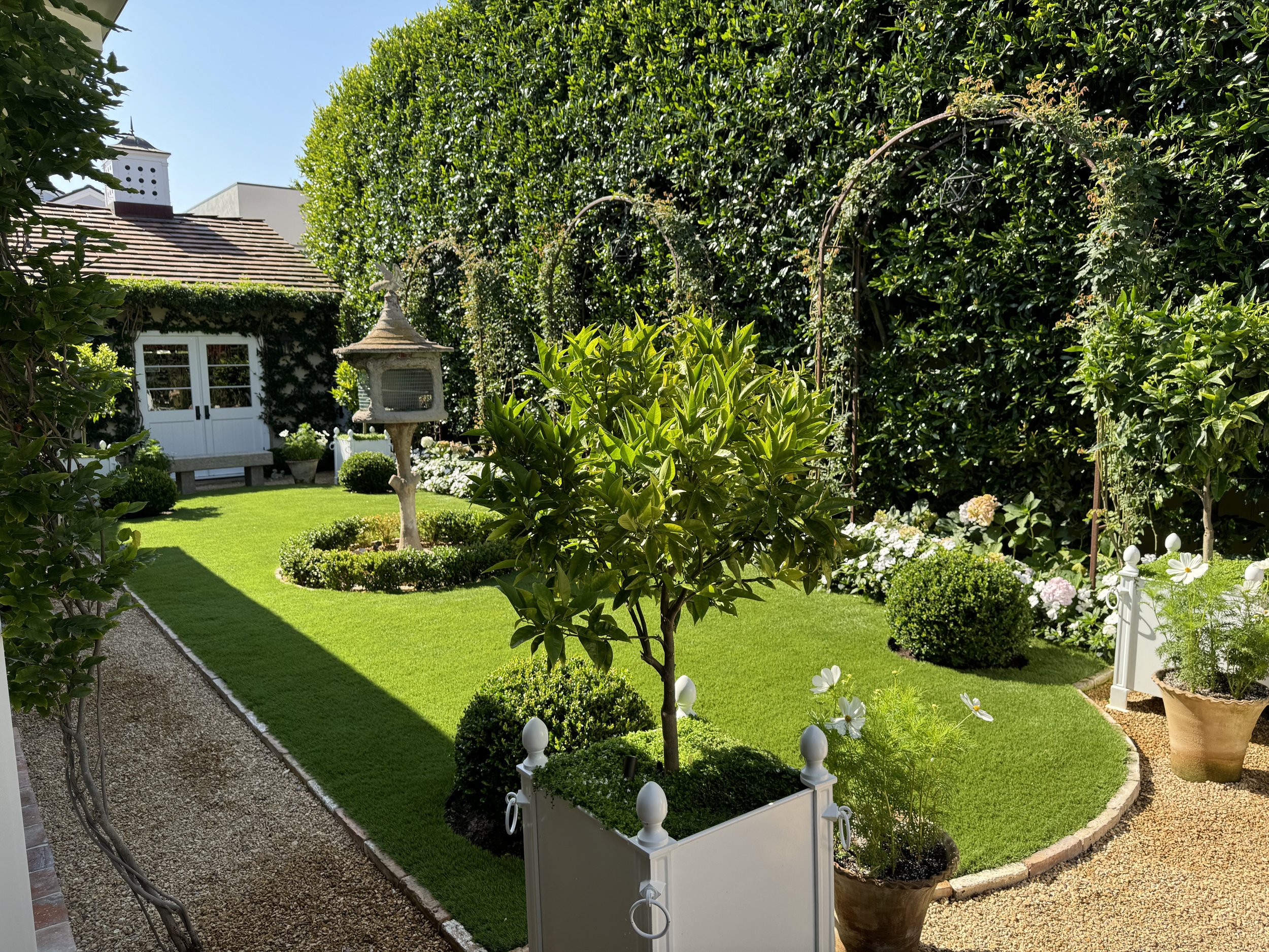 A well-maintained backyard garden with a green lawn, potted plants, flowering shrubs, and a small tree, enclosed by a tall hedge and a white picket fence.