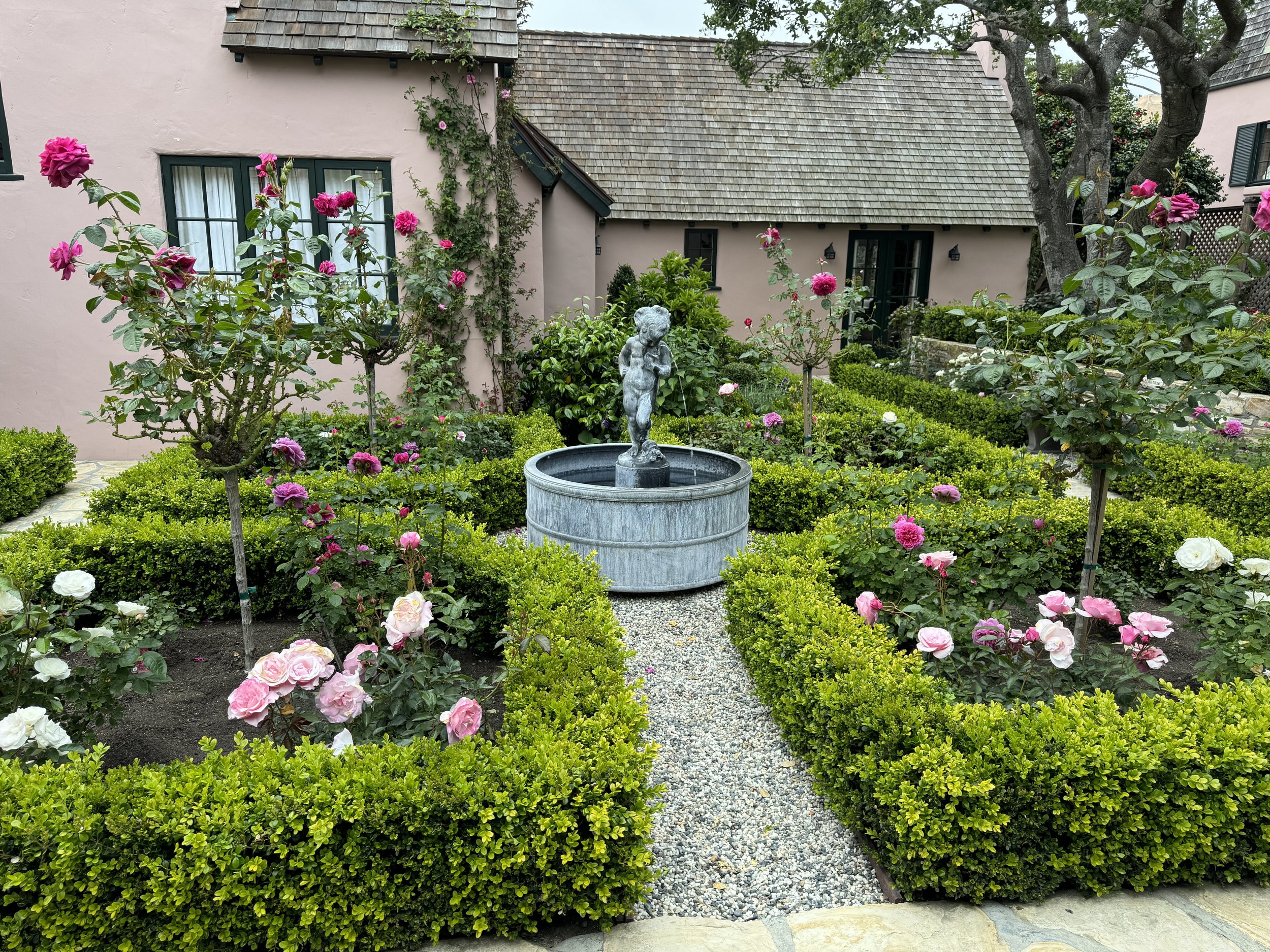 A garden with pink and white roses, neatly trimmed green bushes, small trees, a stone path, and a fountain with a cherub statue in the center. Pink buildings with windows and greenery are in the background.