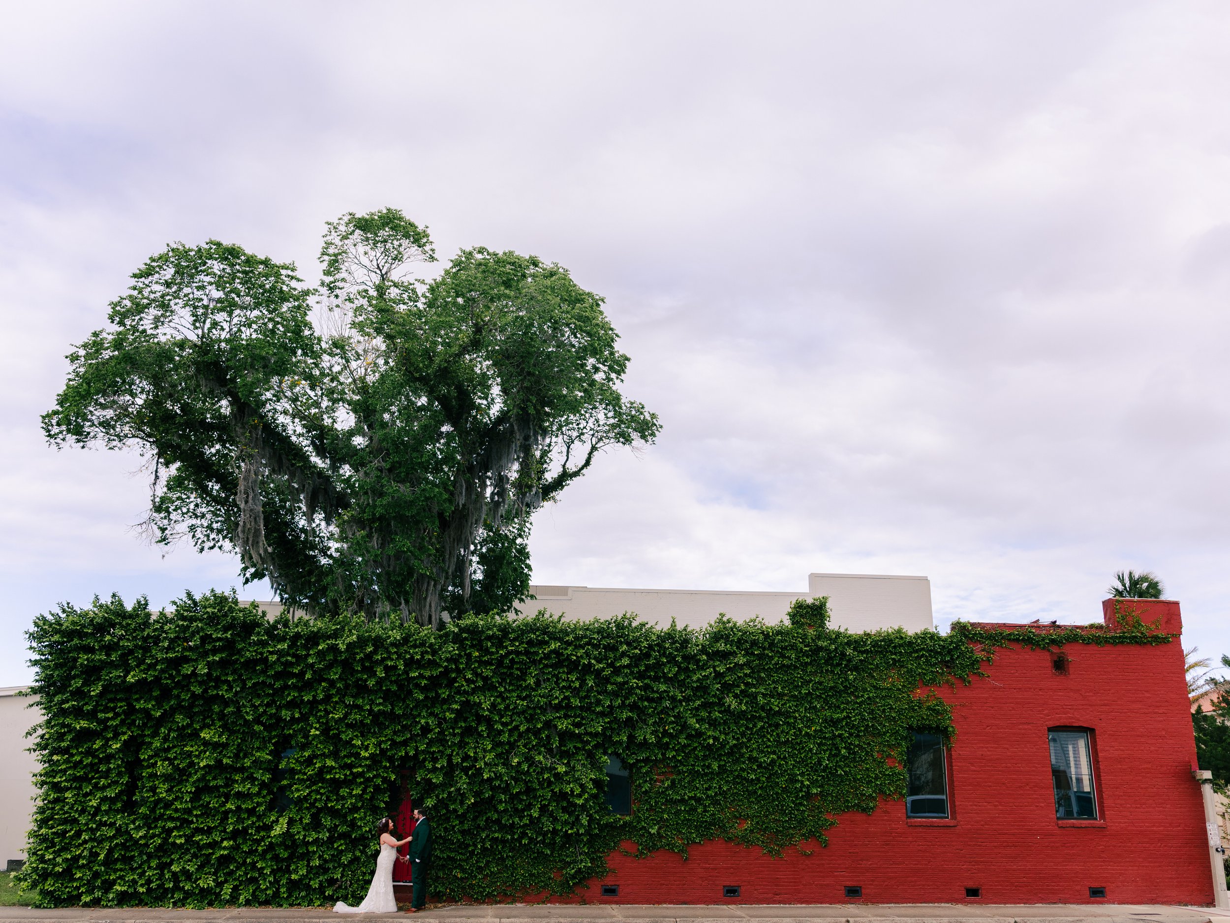 A couple getting married outdoors in front of a red brick building covered with green ivy, with a large tree and cloudy sky in the background.