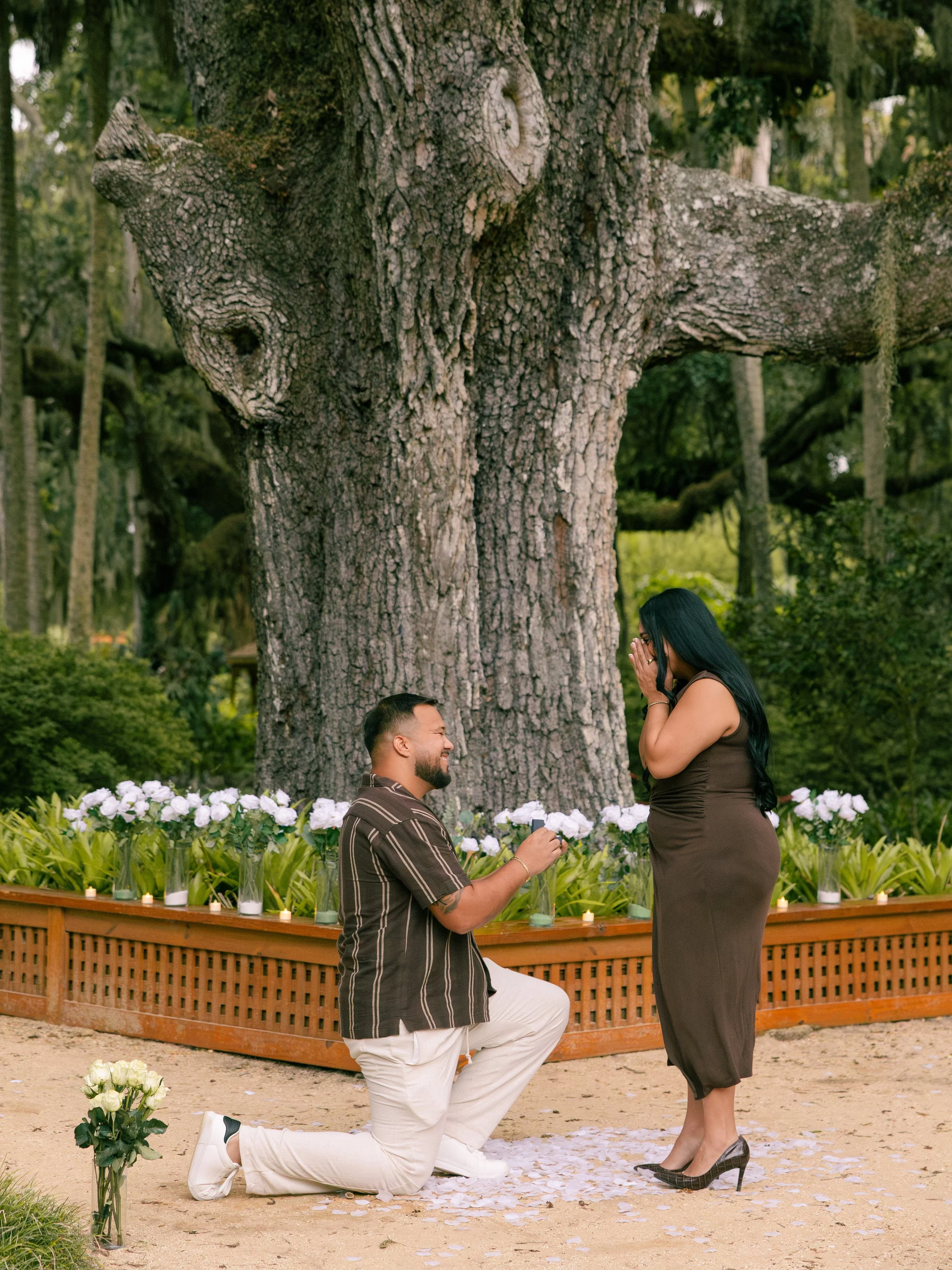 Man proposes to woman in Palm Coast, Florida at Washington Oaks State Park
