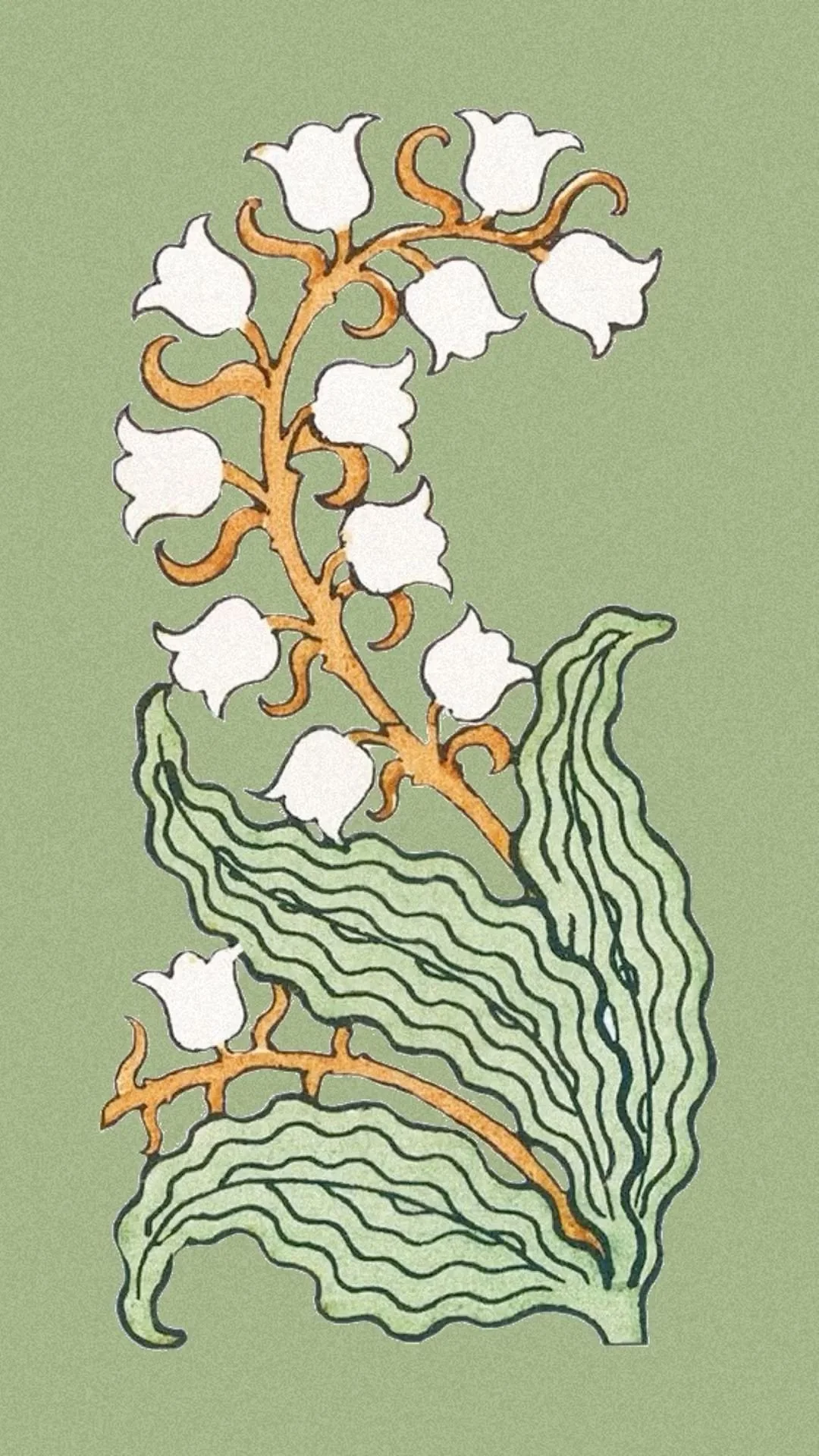 Illustration of a white flowering plant with curved green leaves on a light green background.