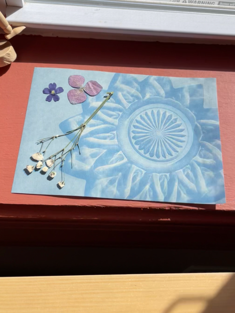 Cyanotype sun print in the sunlight after exposure, imprint of vintage glassware