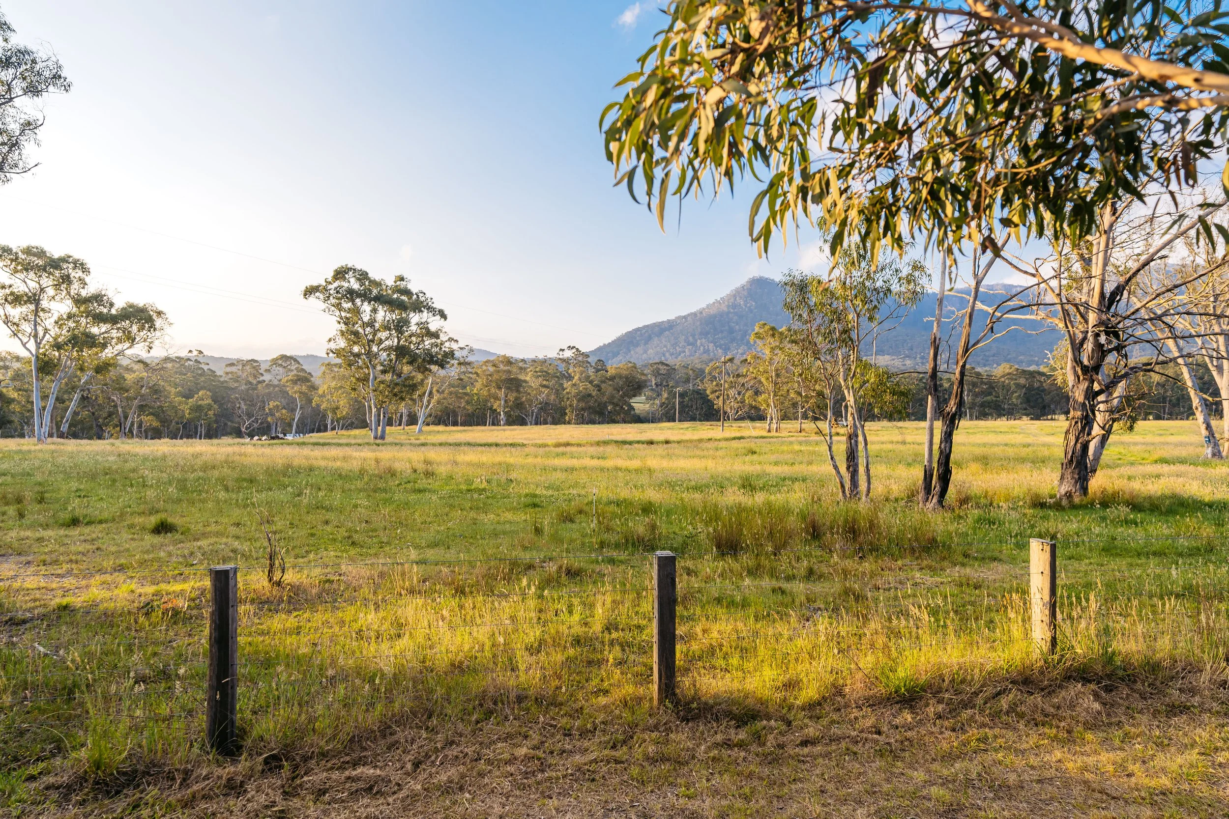 A scenic landscape with green and yellow grass, scattered trees, distant mountains, and a clear blue sky with some clouds.