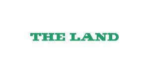 Text reading 'THE LAND' with stylized design