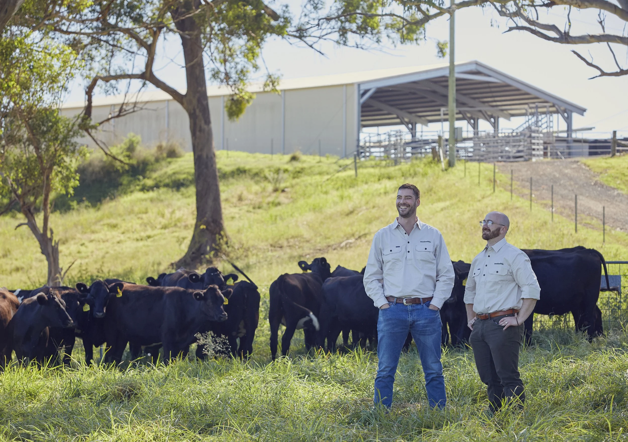 Two men are standing in a pasture with black cattle. They are smiling and wearing casual shirts. There are trees and a barn in the background.