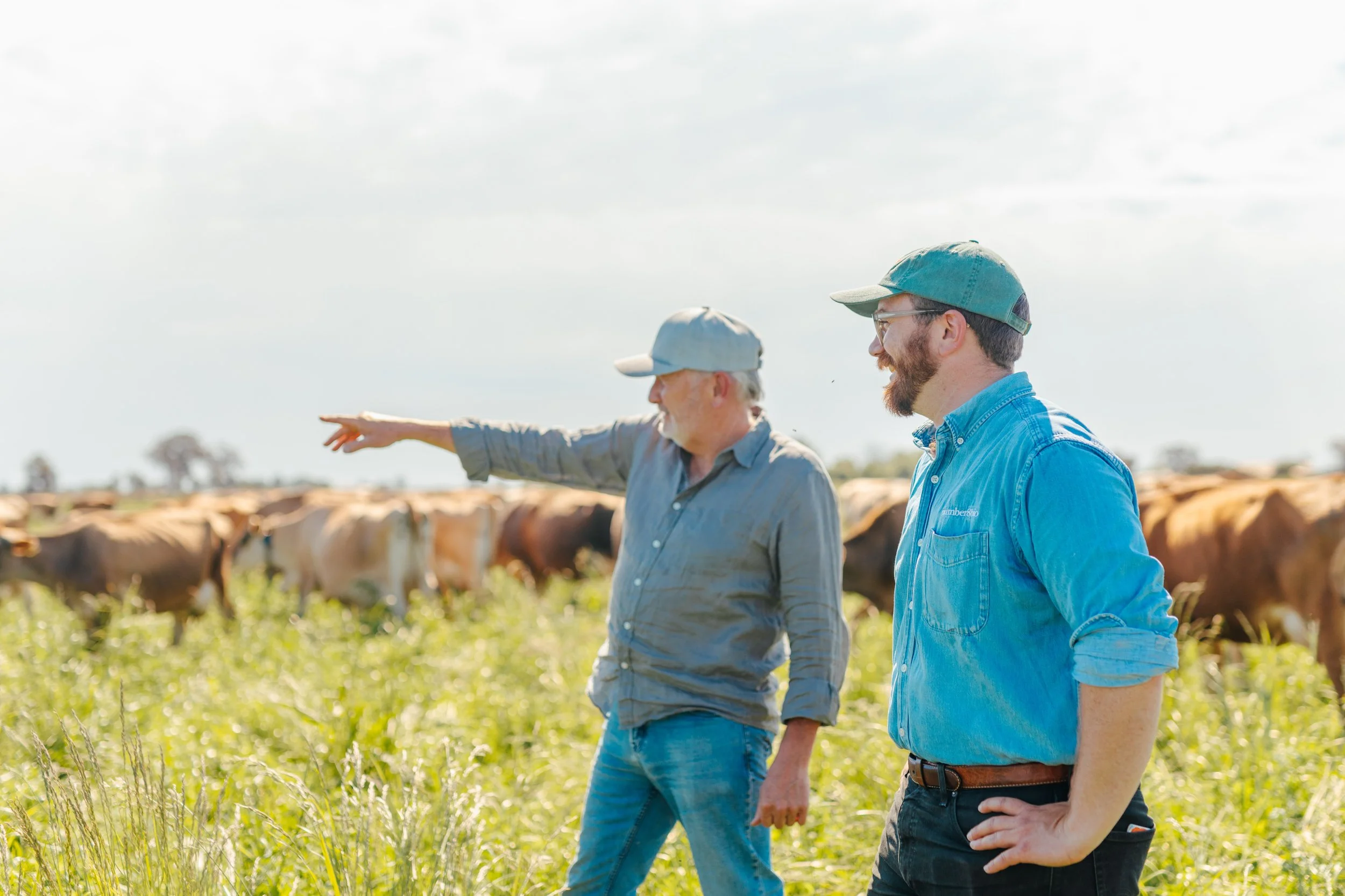 Two men, standing outdoors on a farm, looking at a herd of cattle in the field. One man is pointing at the cattle, while the younger man is smiling and observing.
