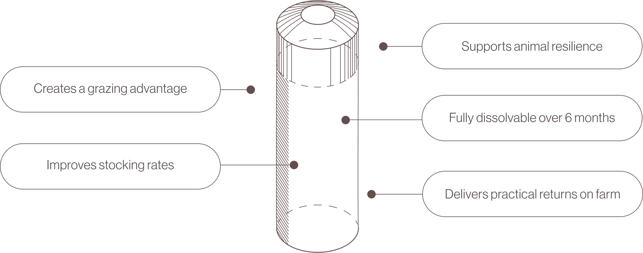 Diagram of a cylindrical object with text connecting to different points on it, highlighting benefits such as supporting animal resilience, being fully dissolvable over six months, creating a grazing advantage, improving stocking rates, and delivering practical returns on farm.
